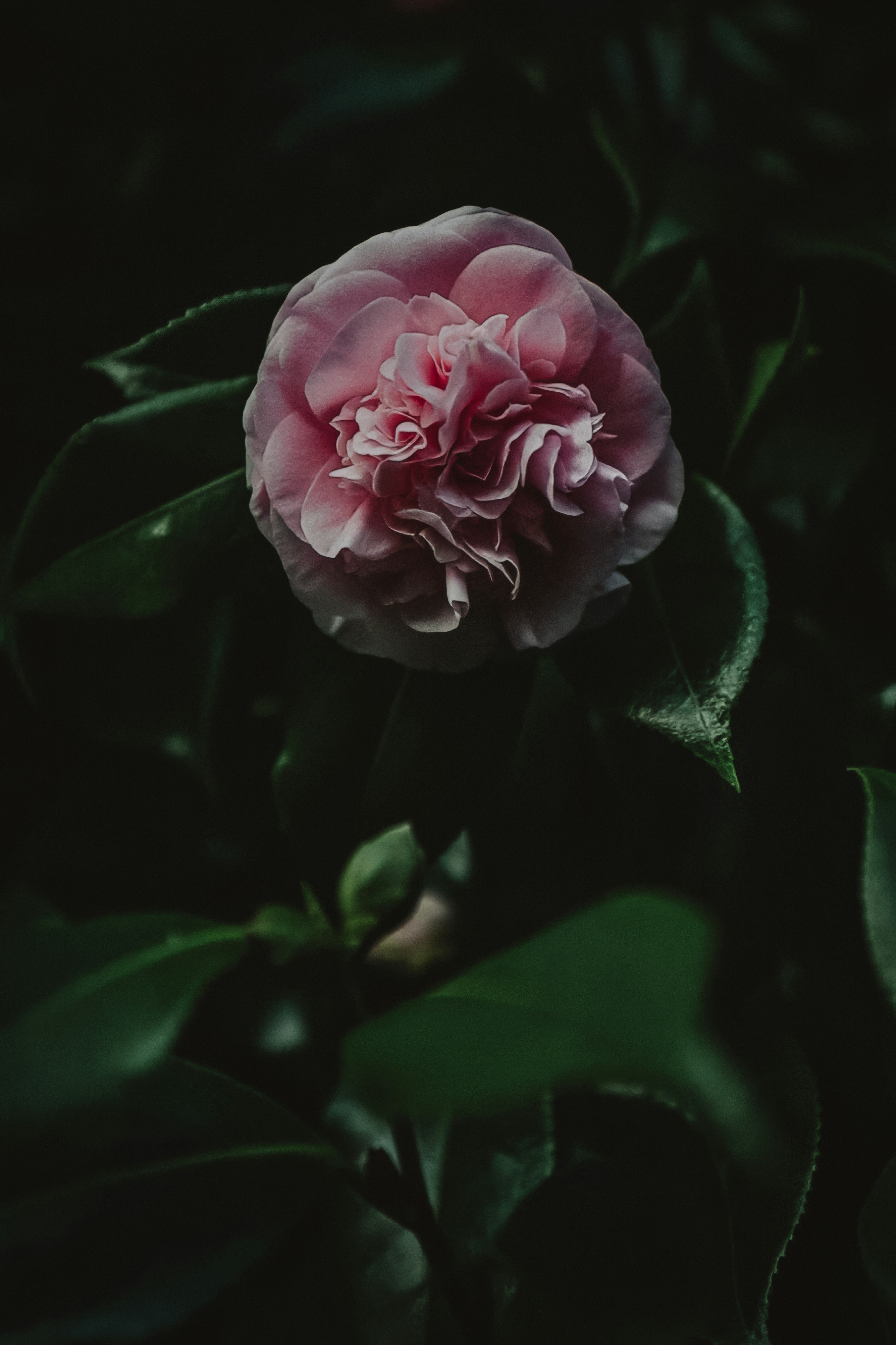 Photo by timmossholder