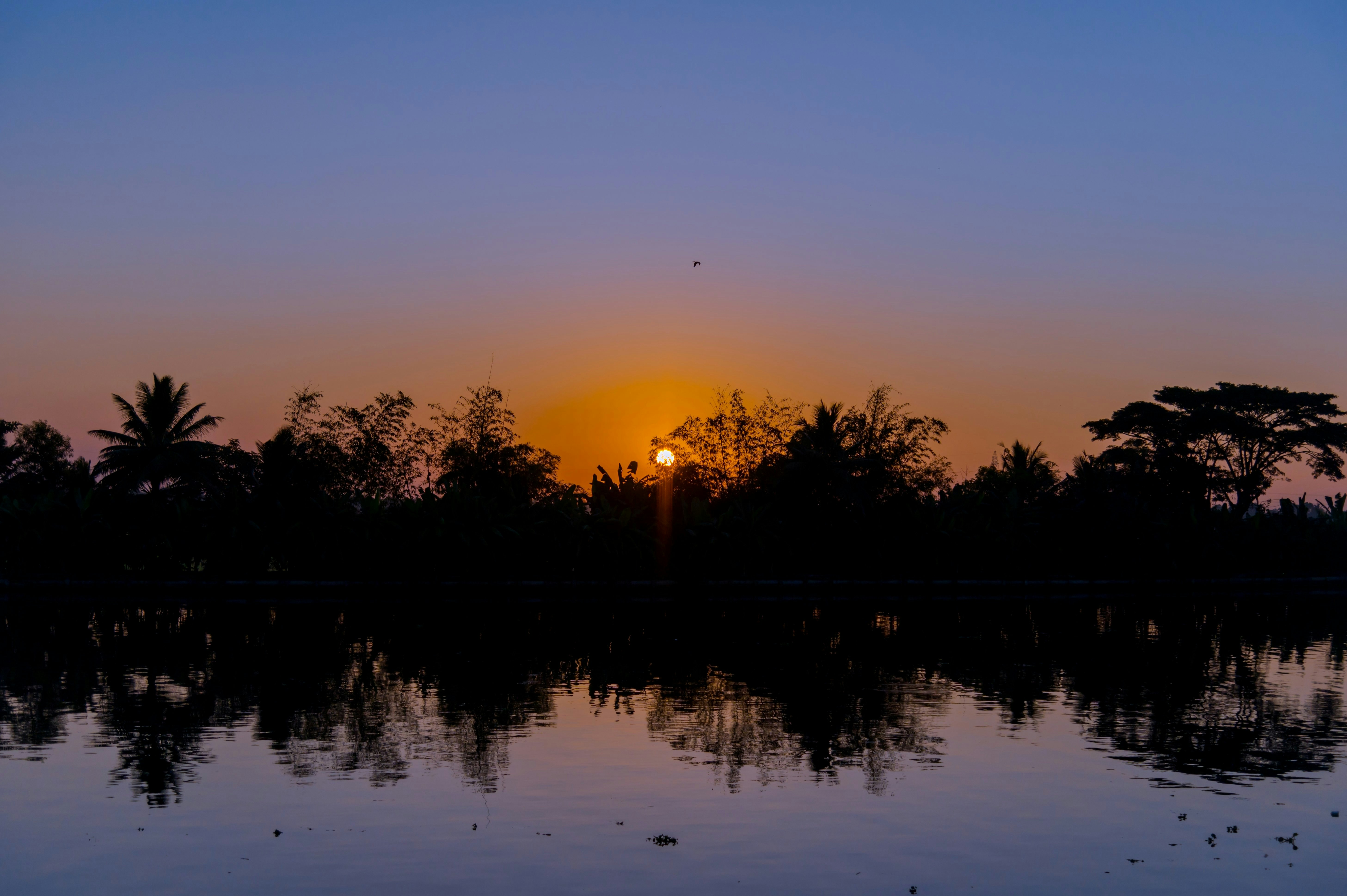 Photo by samuelprevin