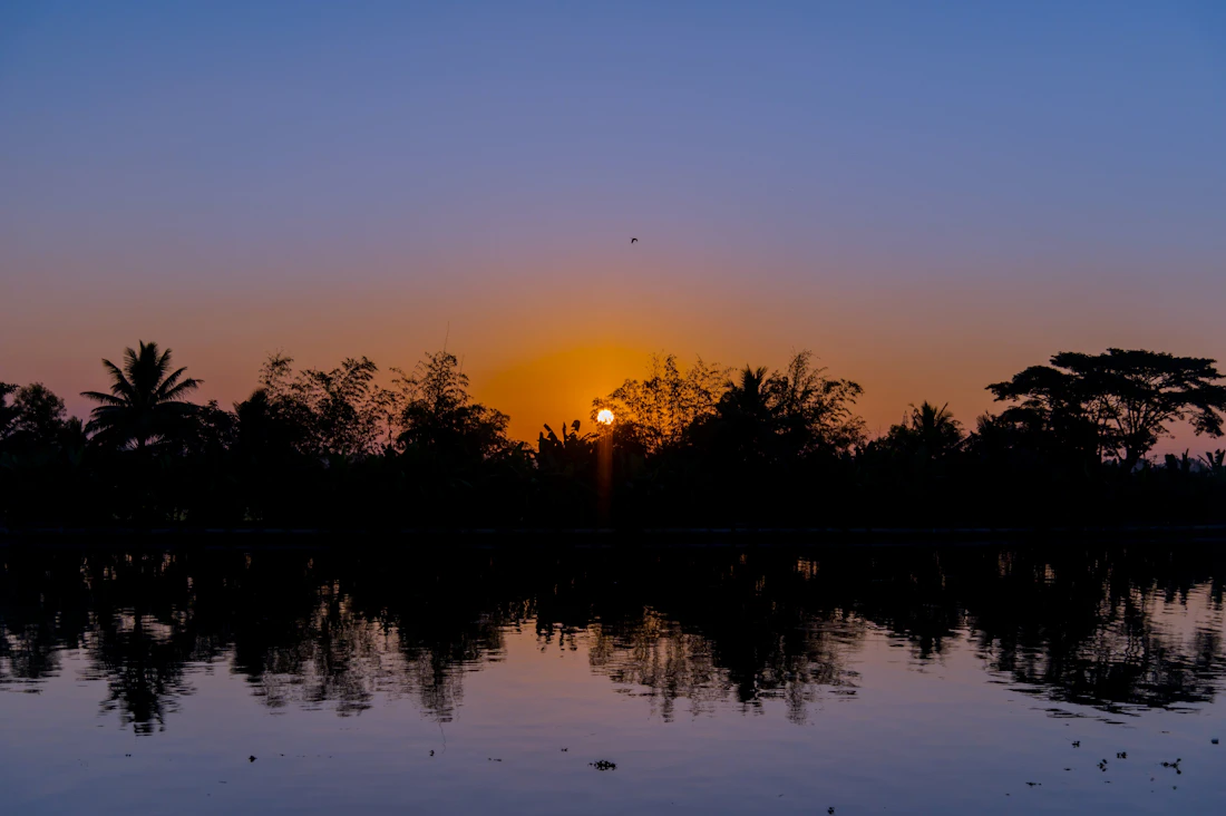 Sunset over tranquil backwaters with trees in Alleppey