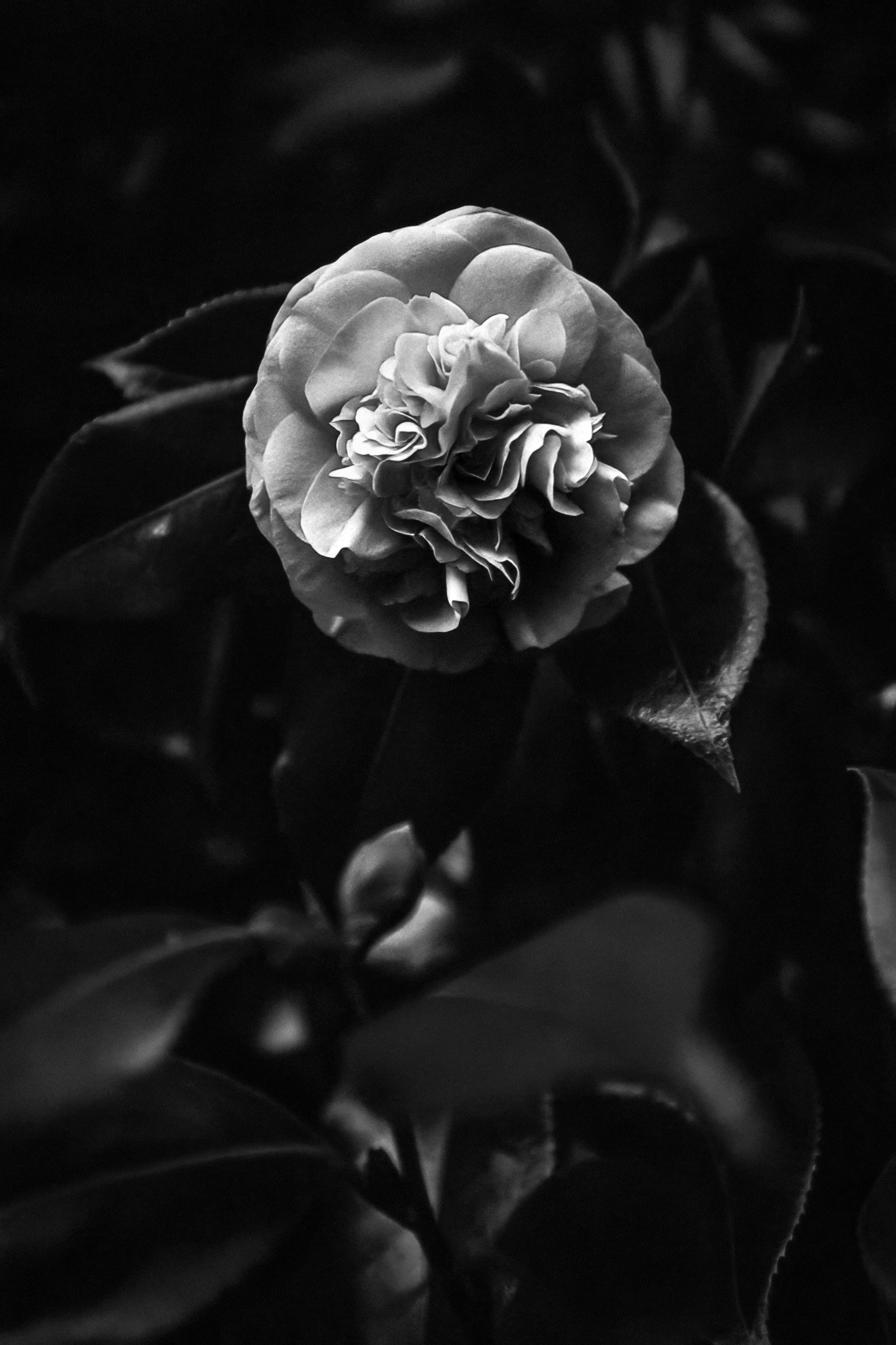 Photo by timmossholder