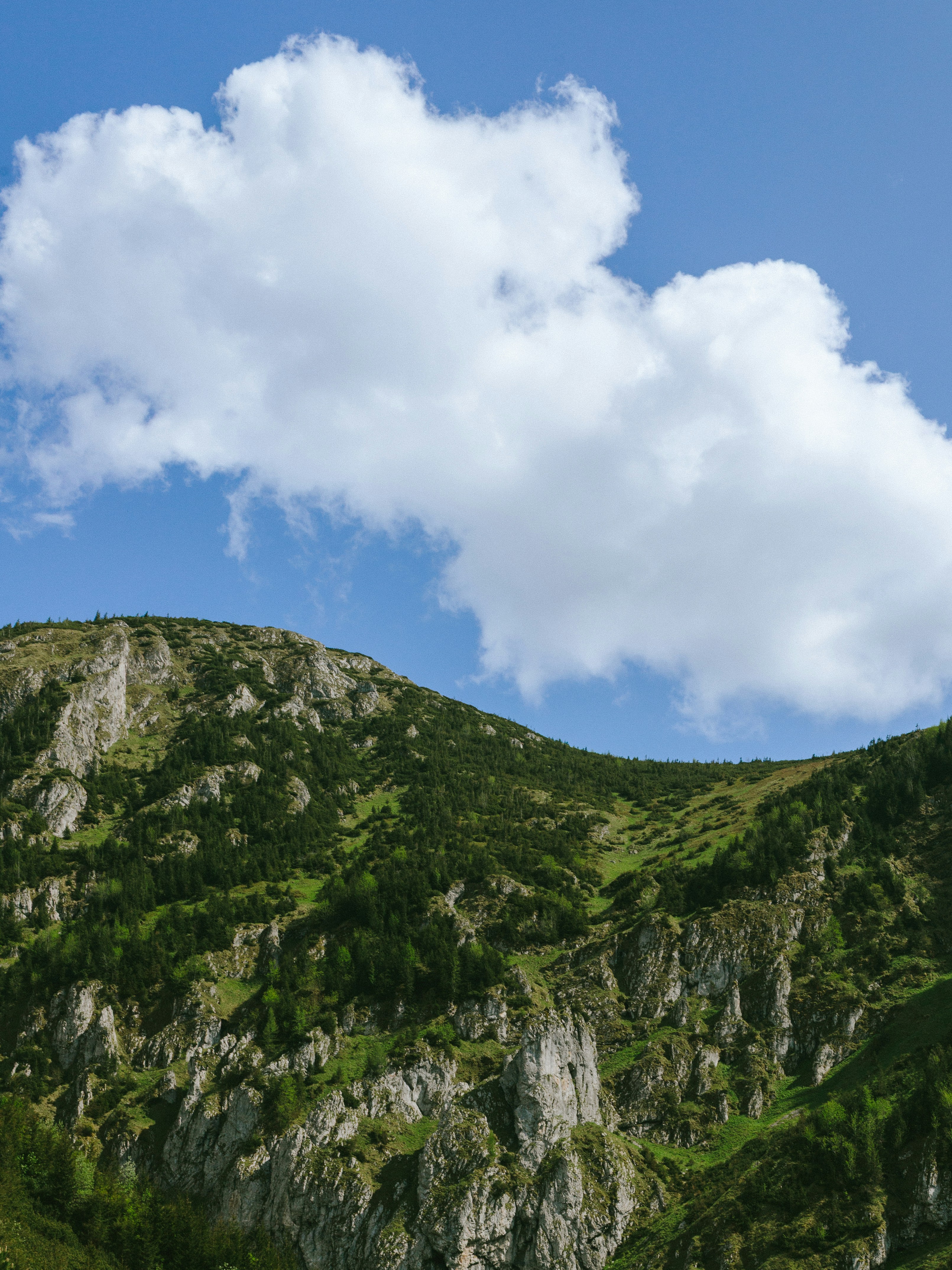 Photo by agneserudzite