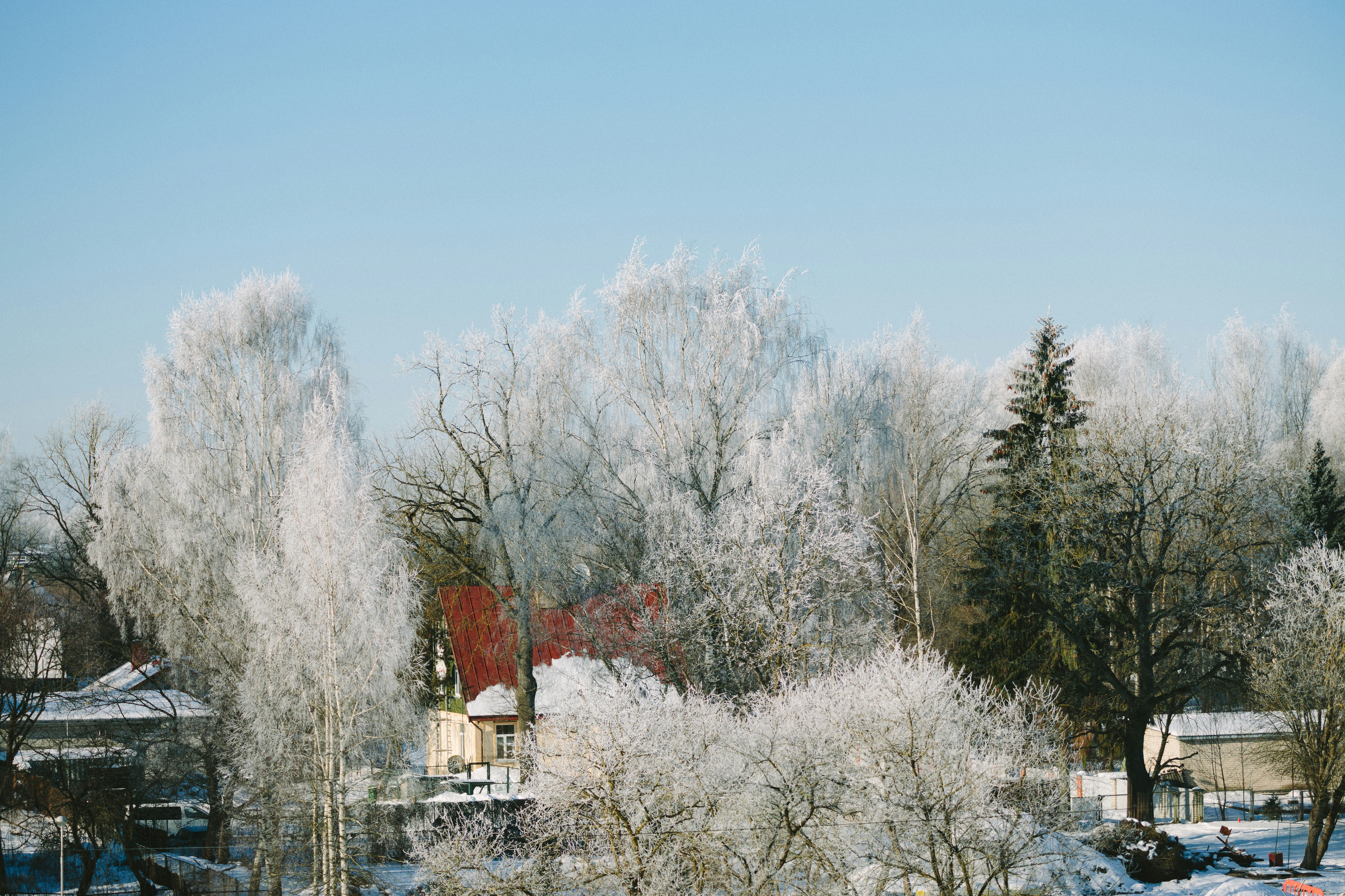 Photo by agneserudzite