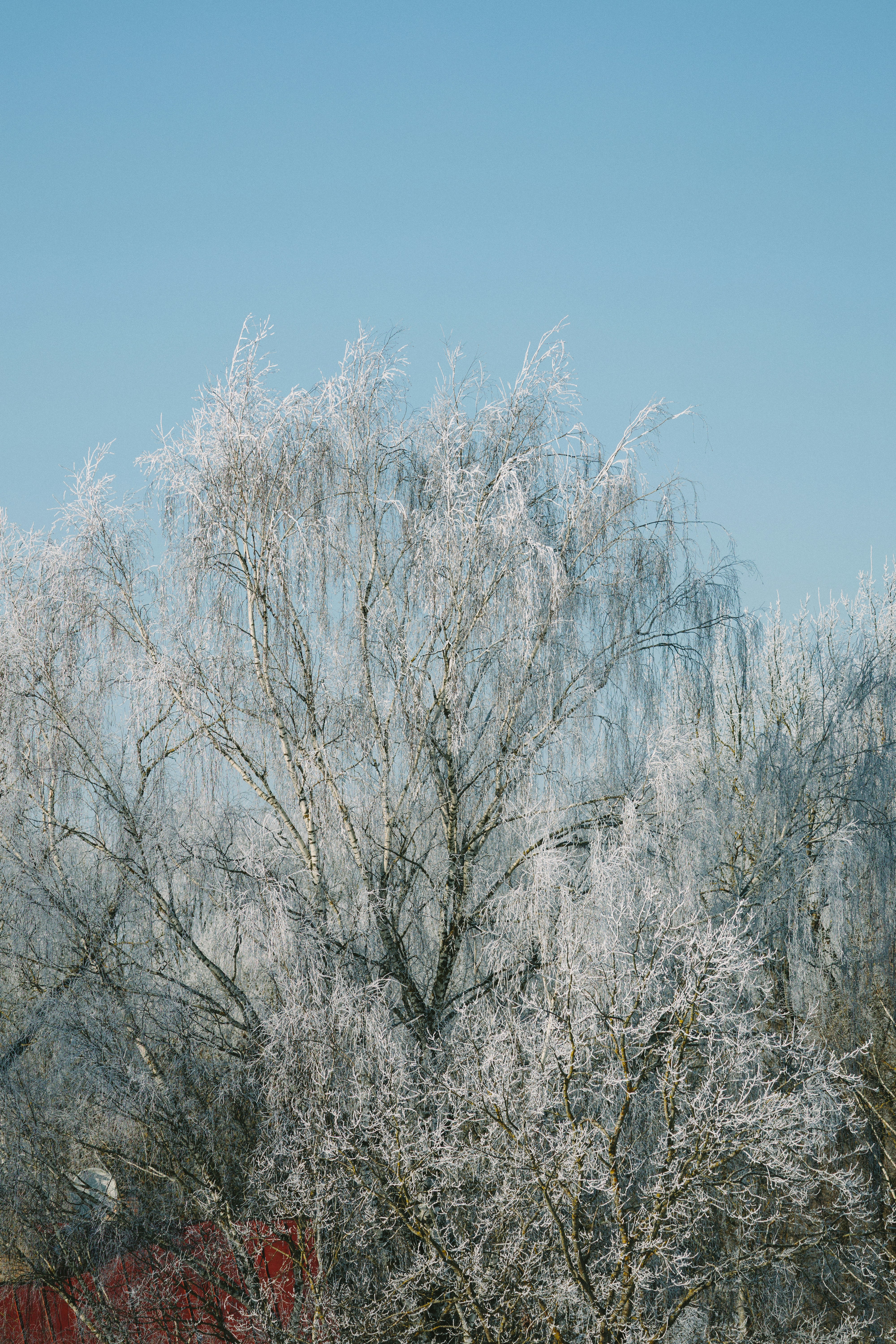 Photo by agneserudzite