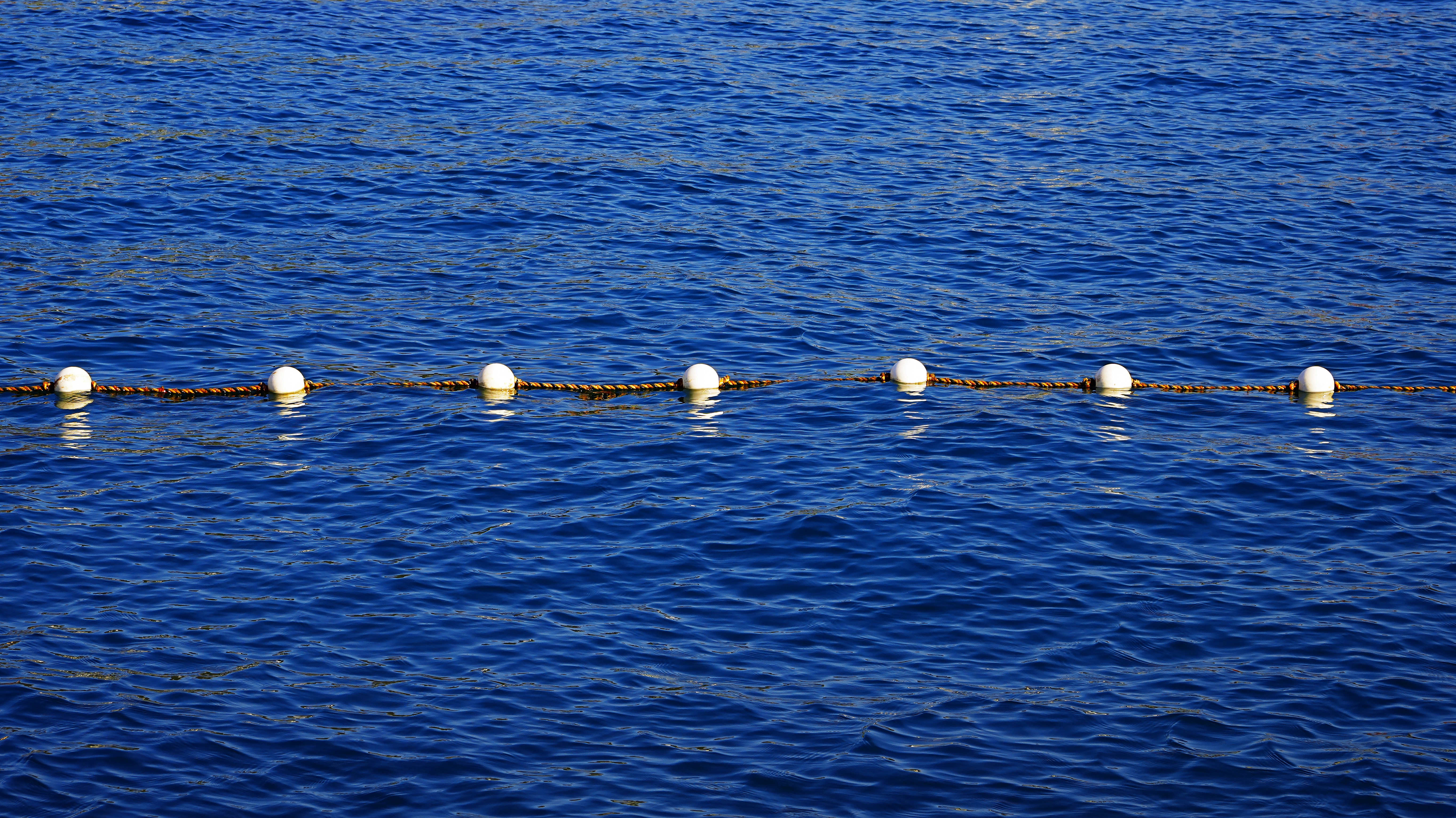 Des bouées blanches flottent en ligne sur l’océan bleu.
