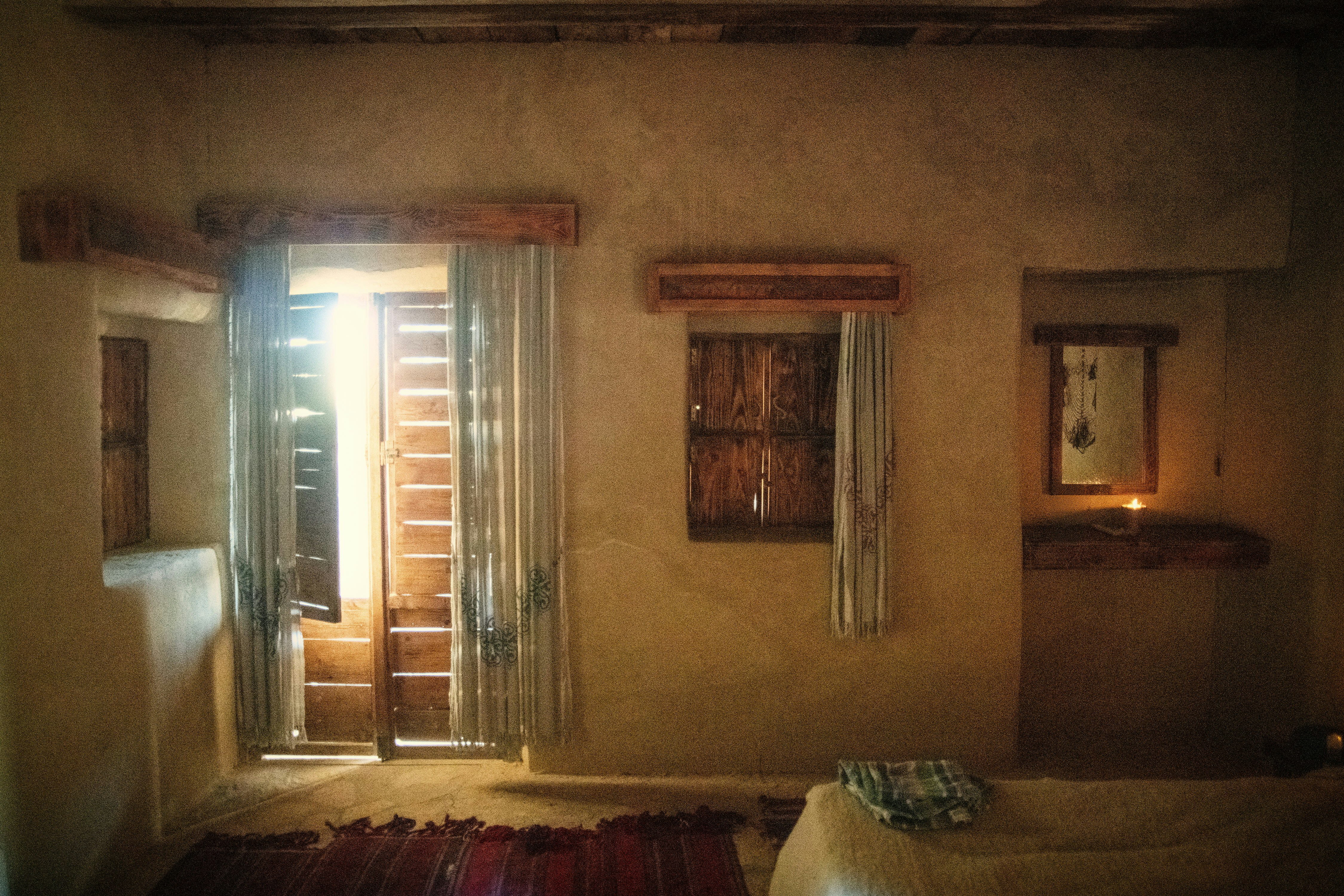 Best Bed Materials for Pets Who Spill, Shed, and Snack in Their Sleep