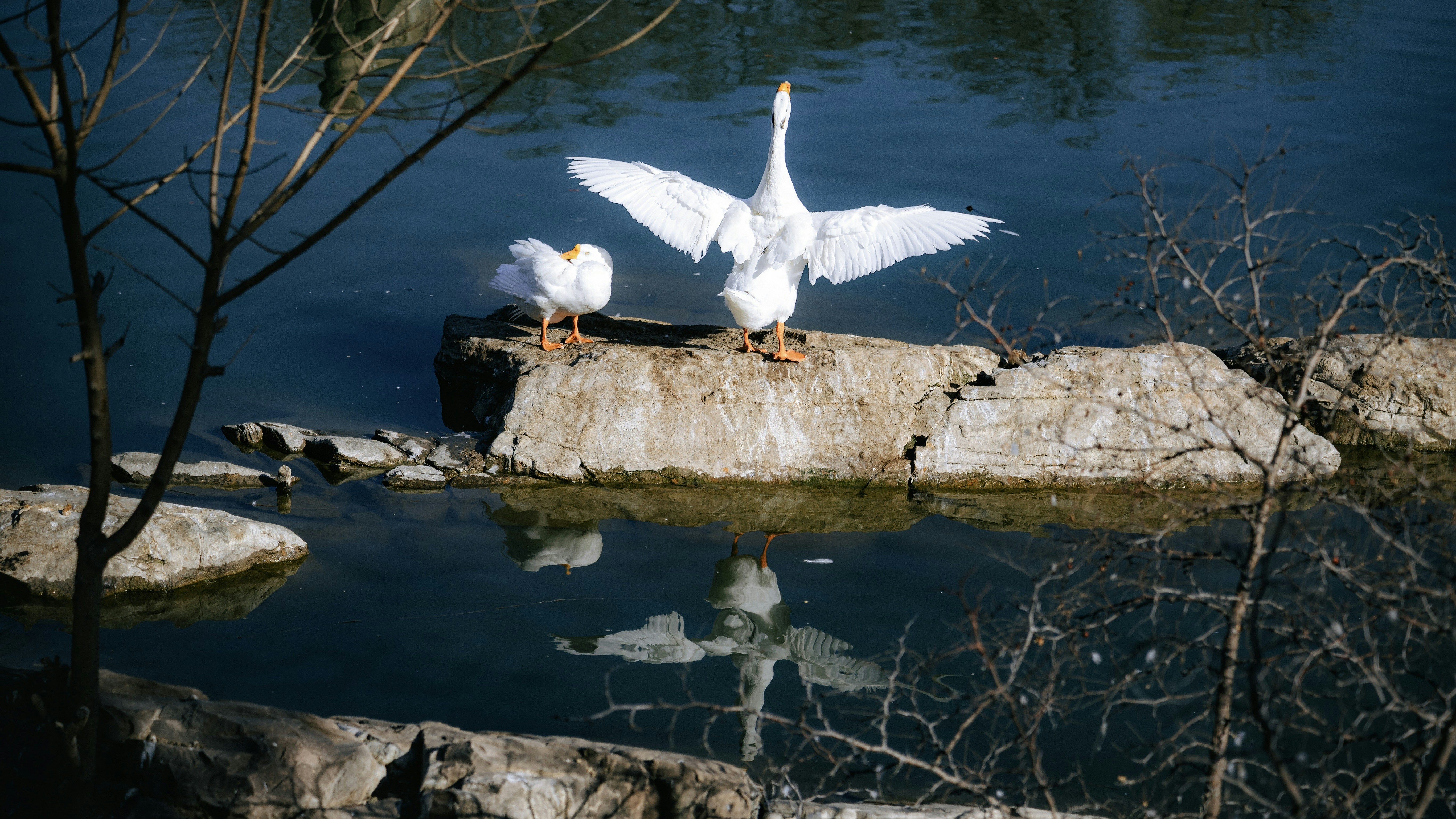 Photo by wangbinghua