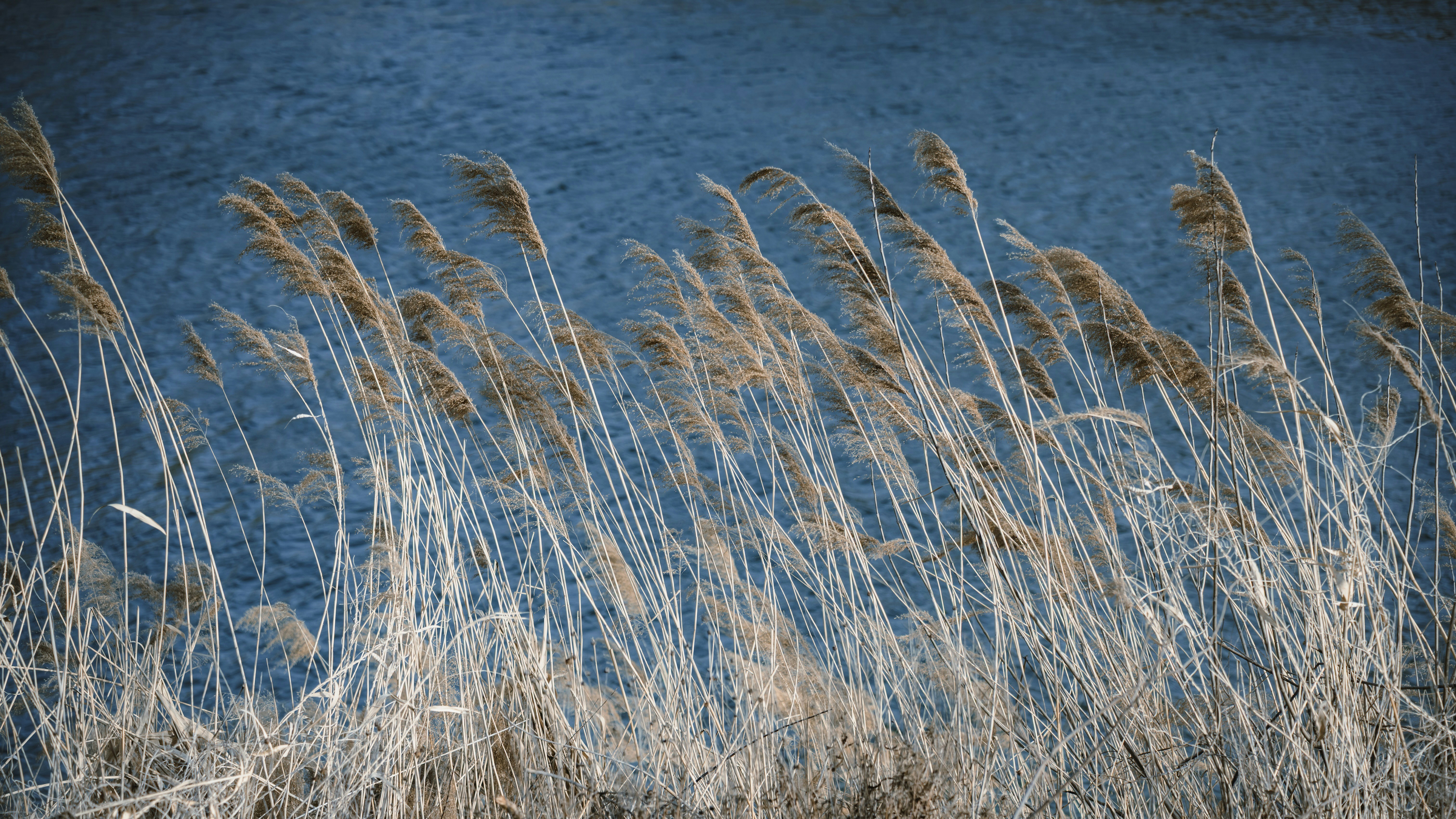 Photo by wangbinghua