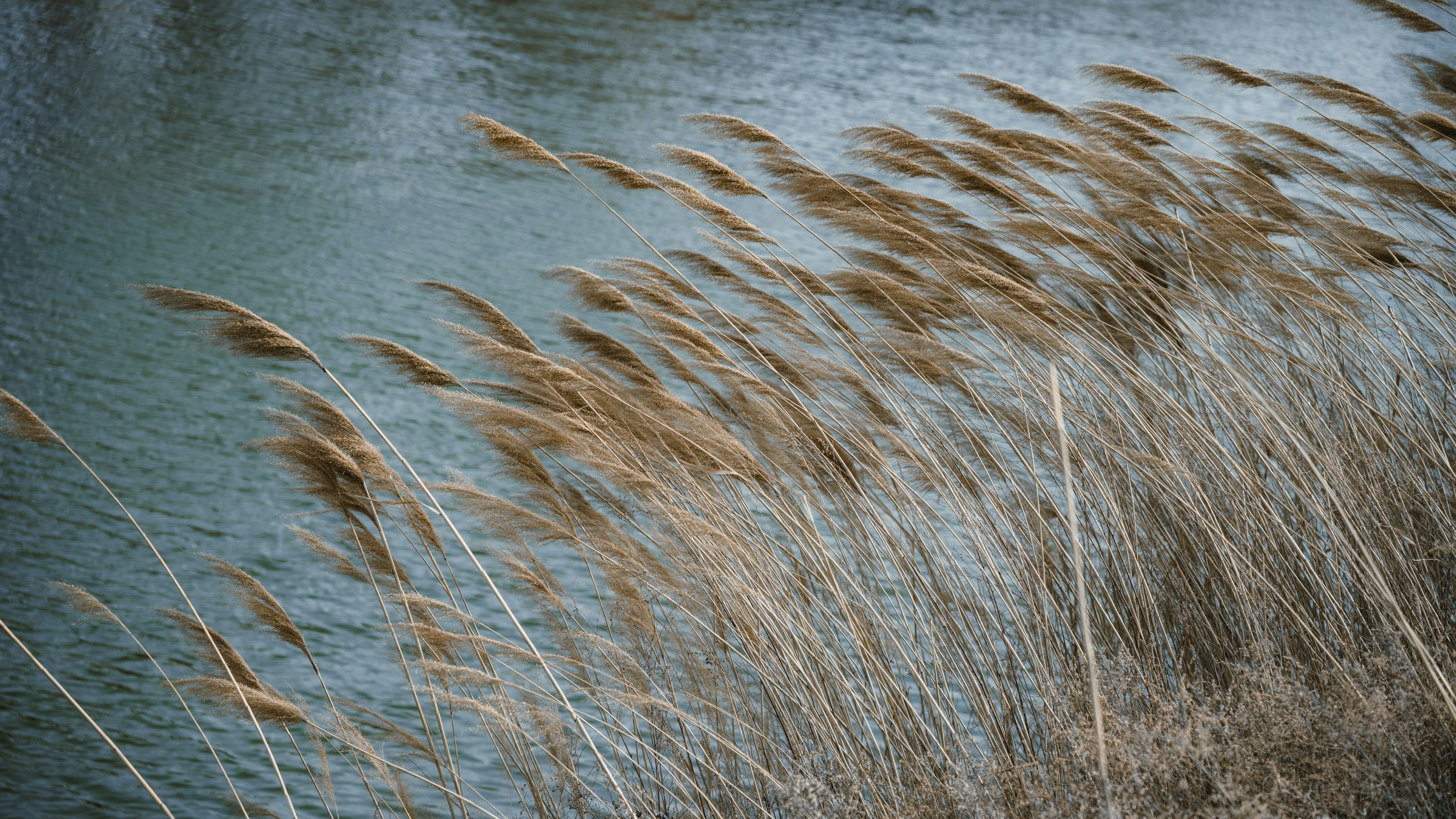 Photo by wangbinghua