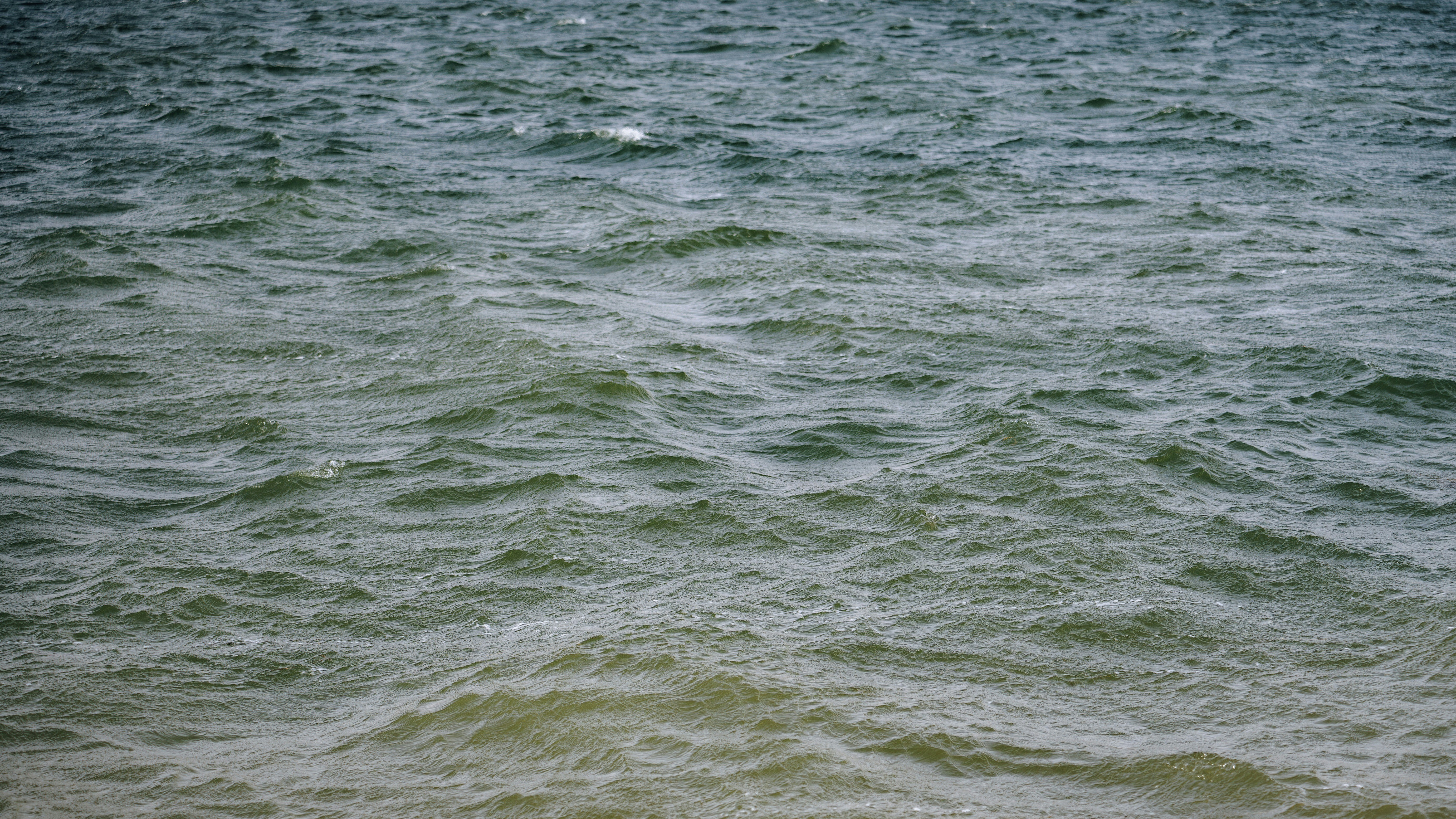 Photo by wangbinghua