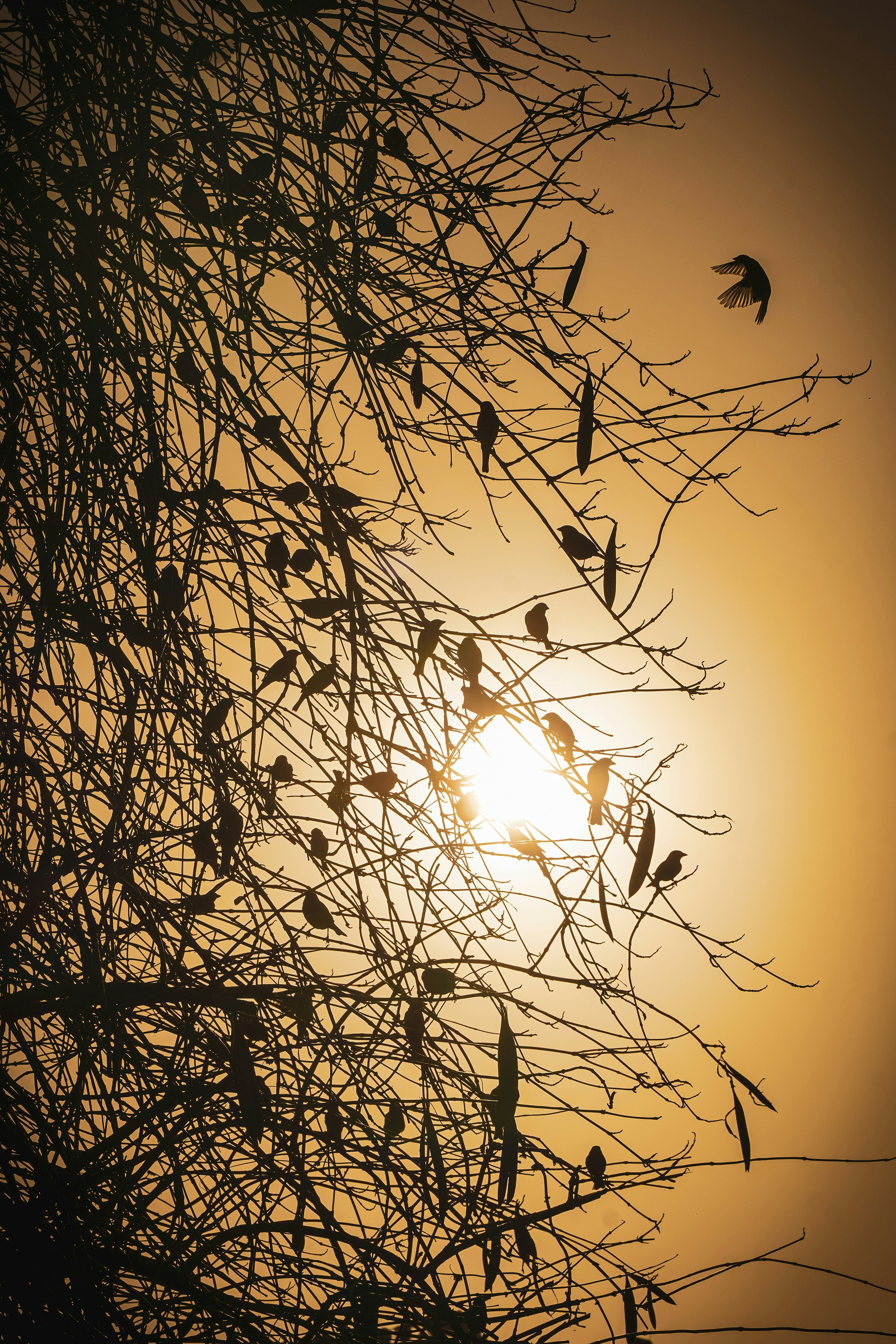 Photo by yarensphotoworks