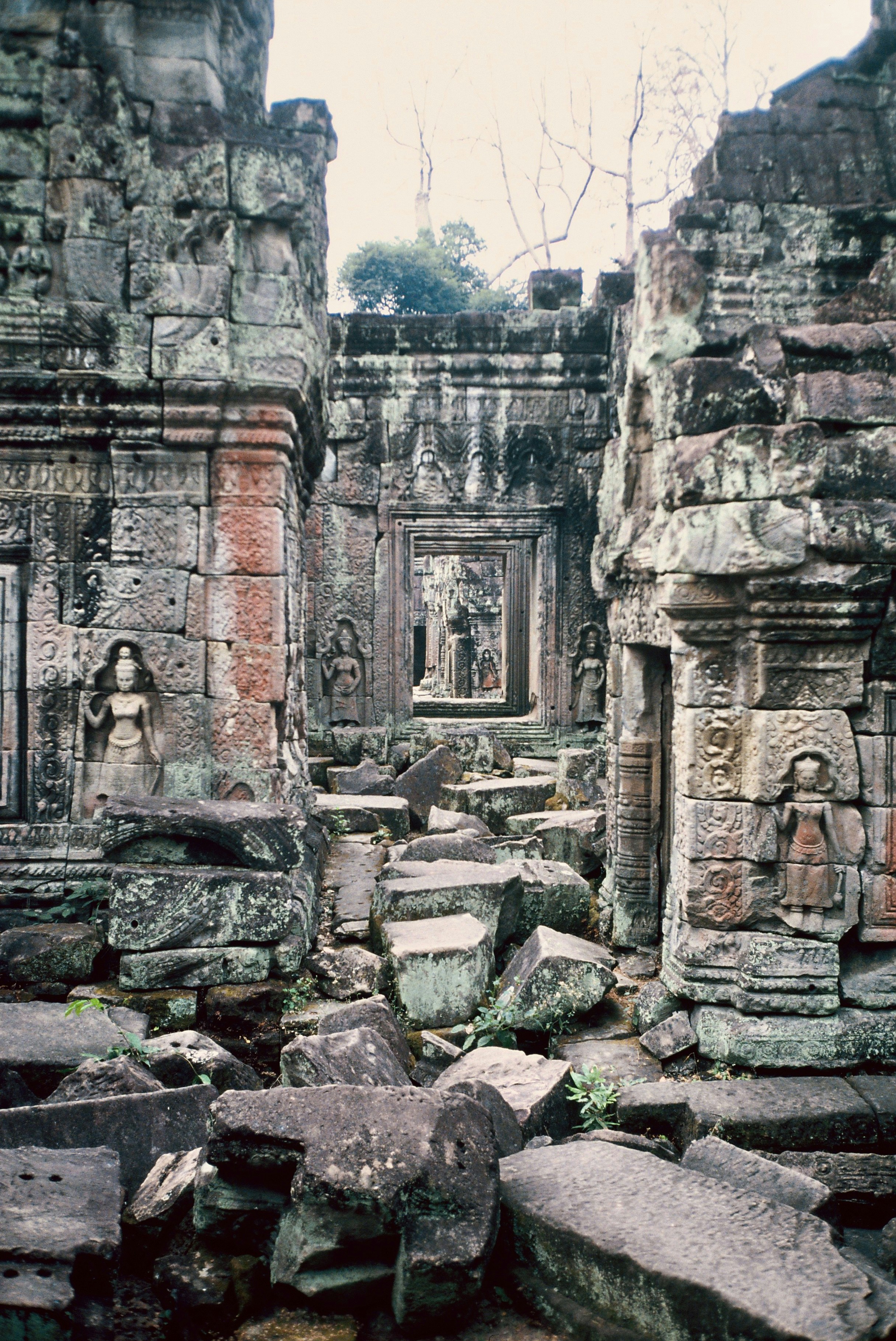 Photo by tomasrobertson