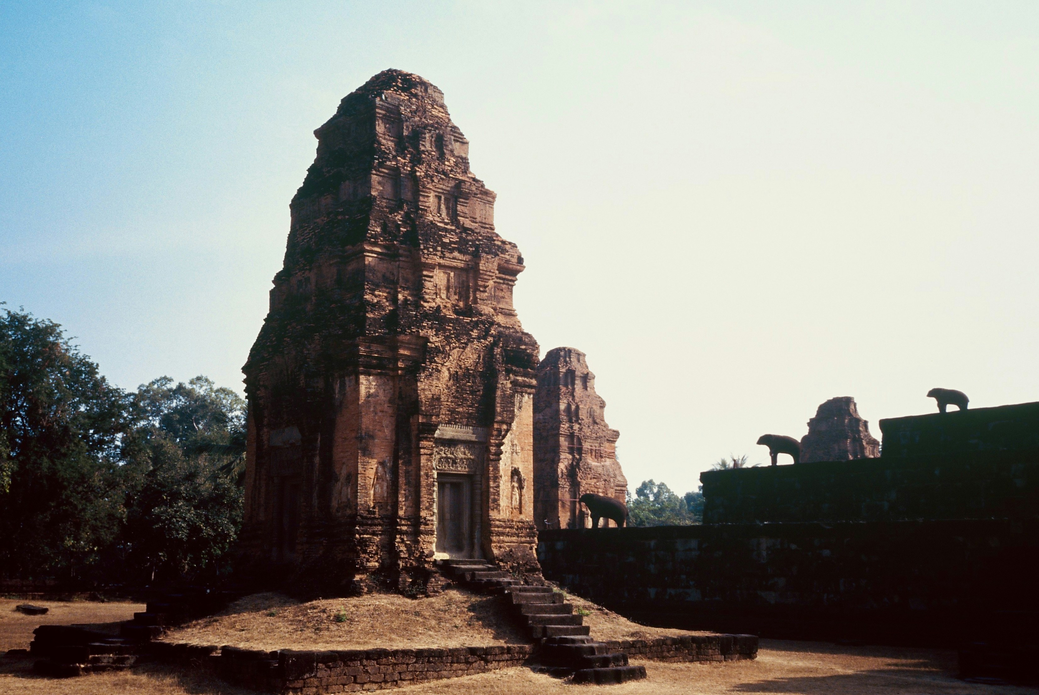 Photo by tomasrobertson