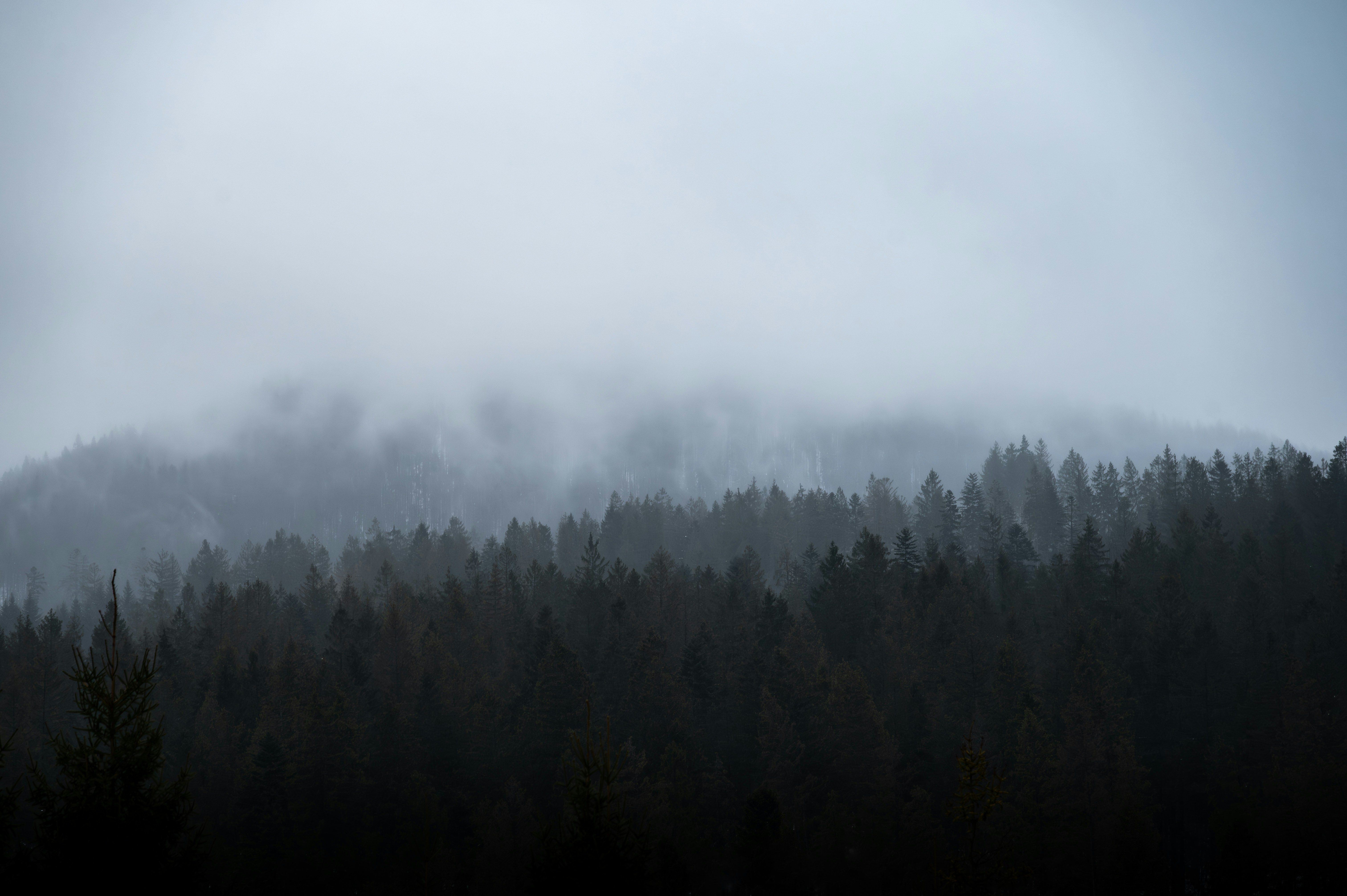 Photo by alexandra_p_d