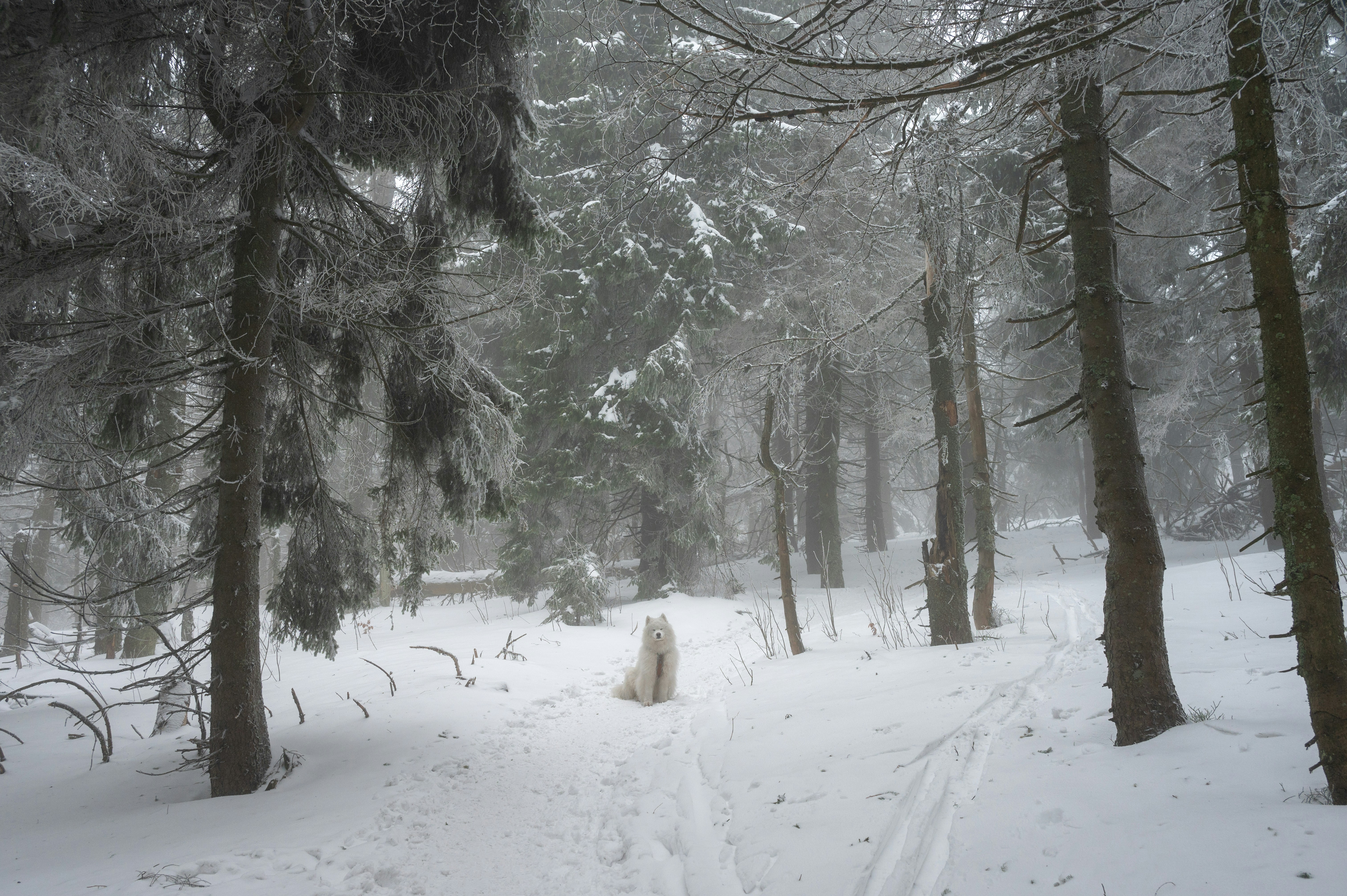 Photo by alexandra_p_d