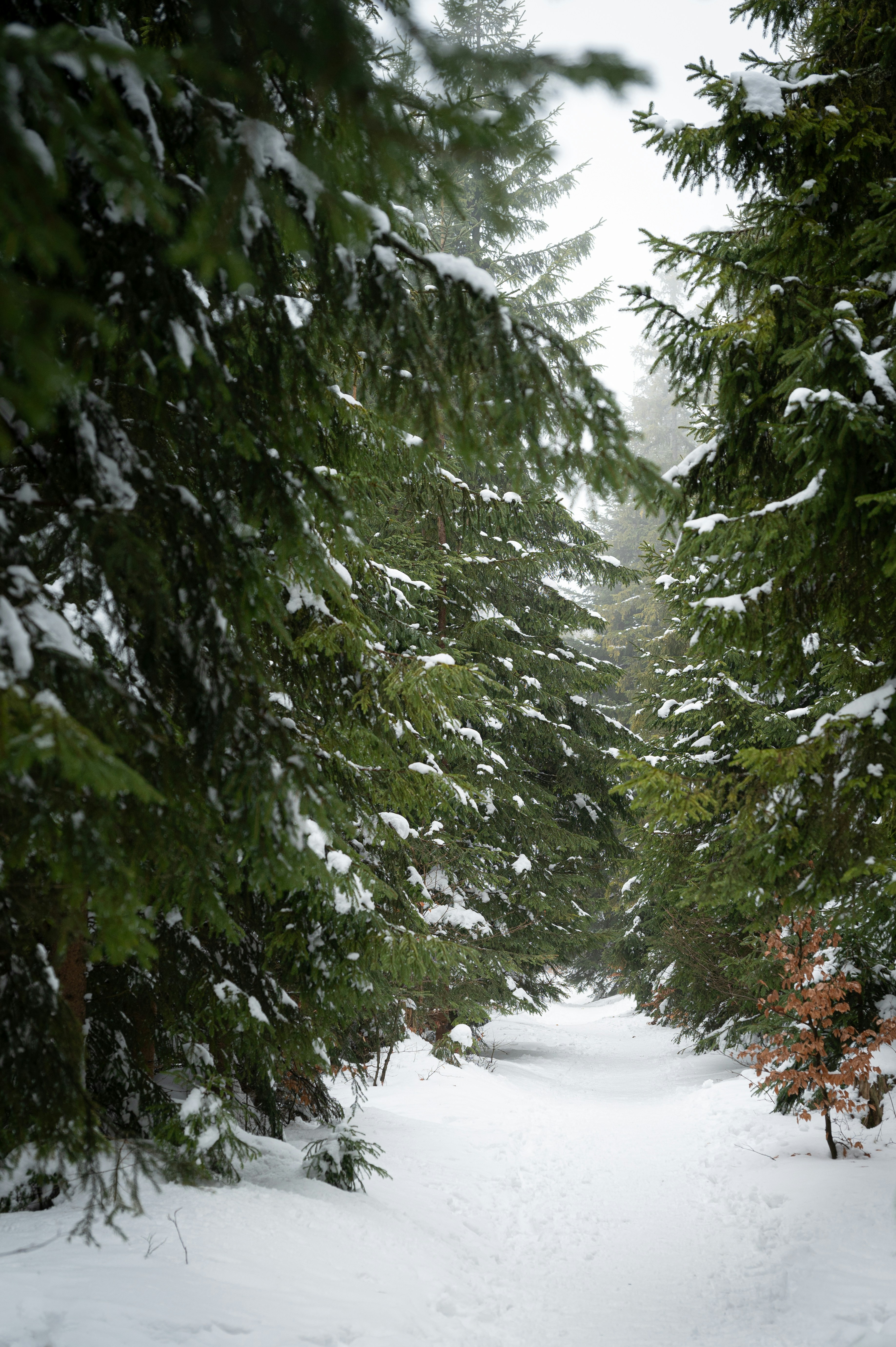 Photo by alexandra_p_d