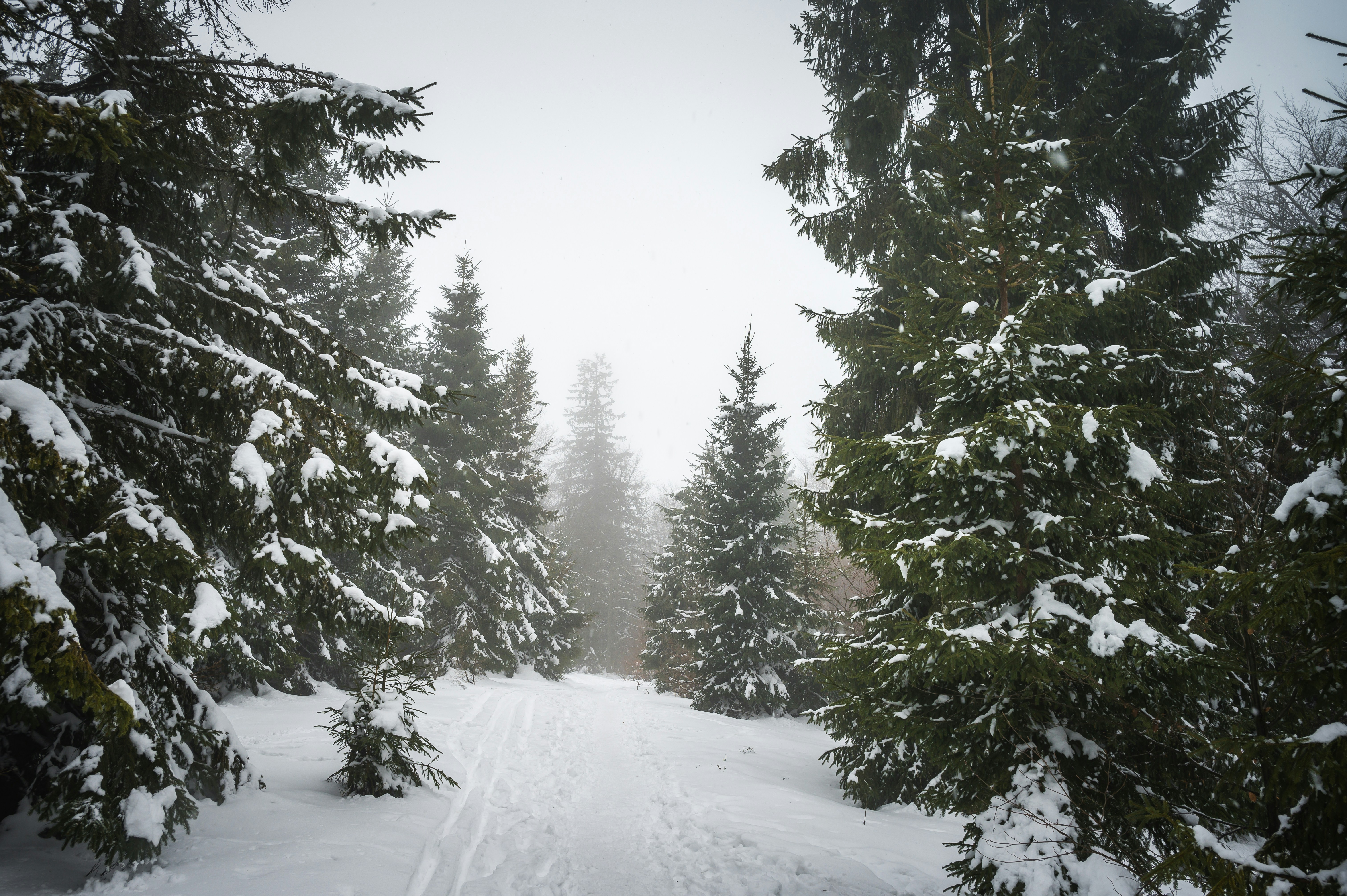 Photo by alexandra_p_d