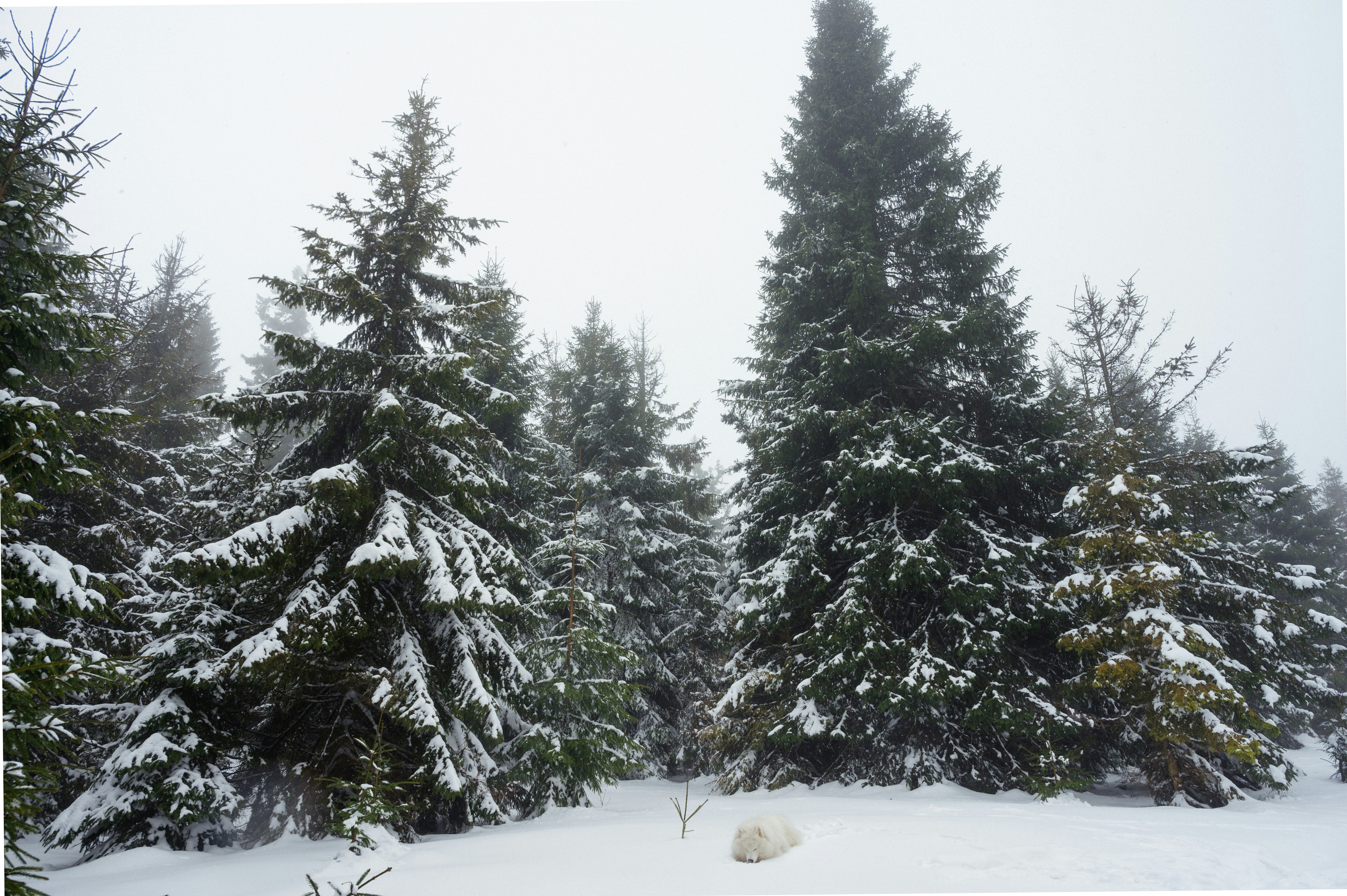 Photo by alexandra_p_d