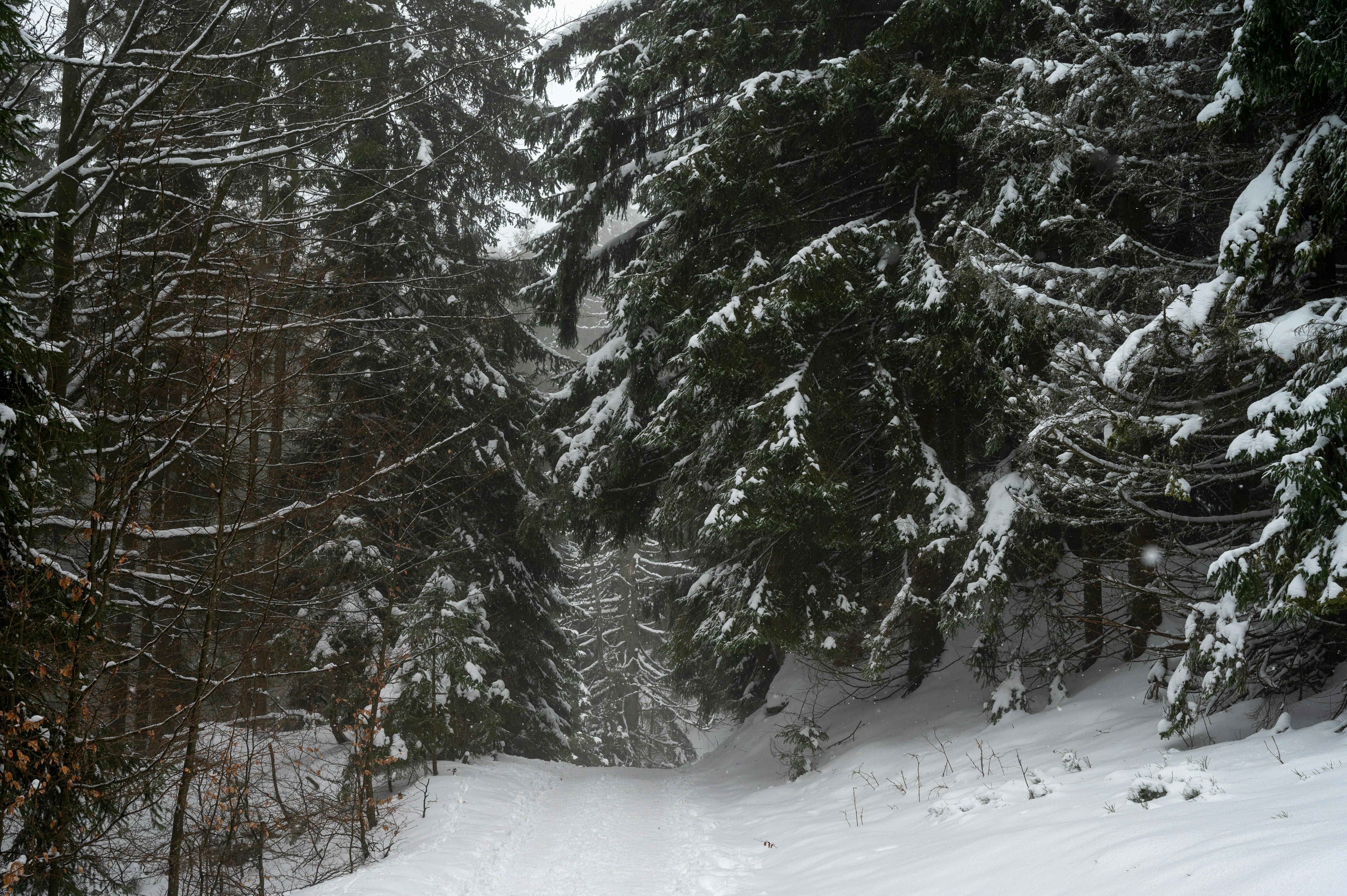 Photo by alexandra_p_d