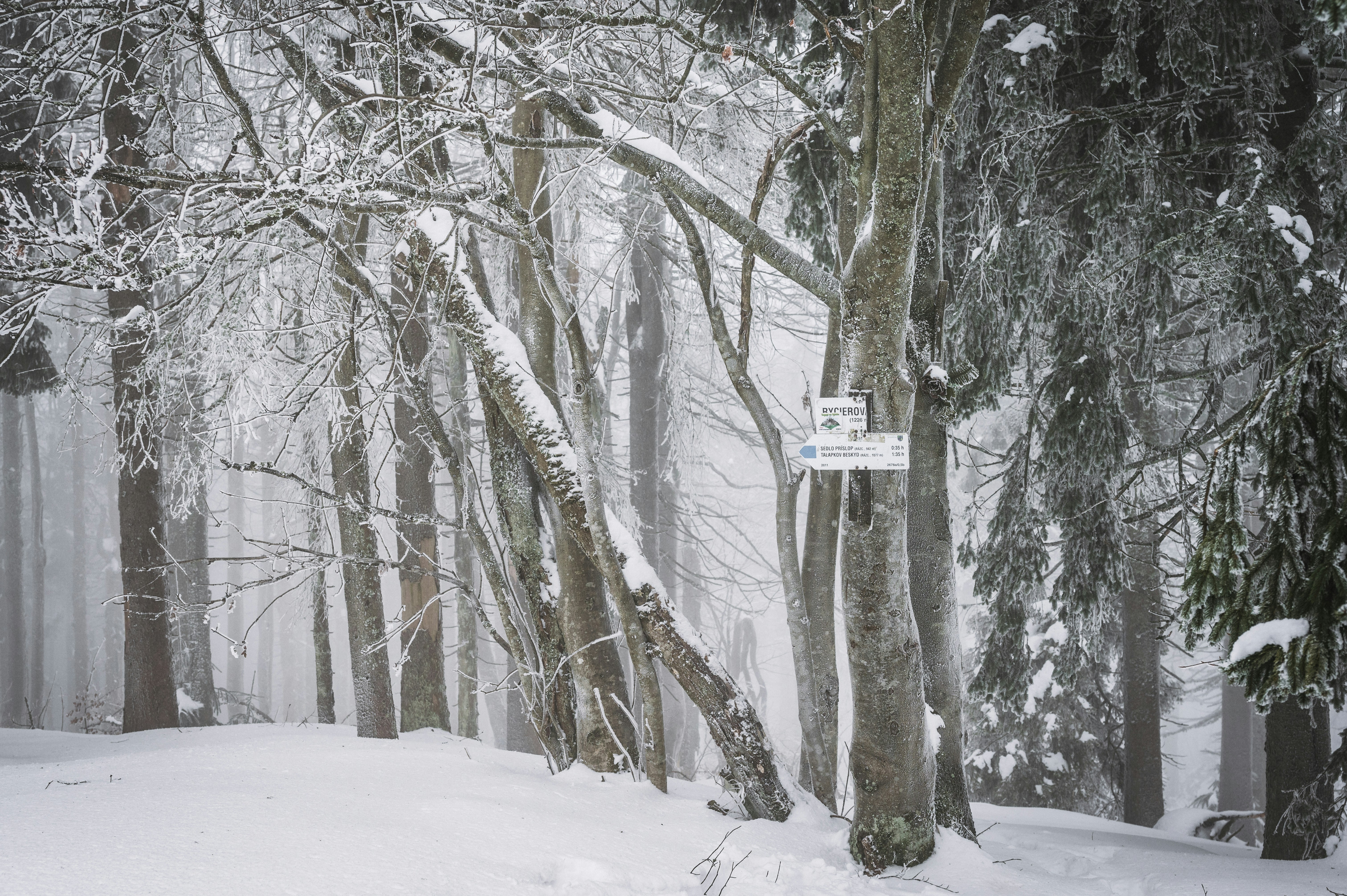 Photo by alexandra_p_d