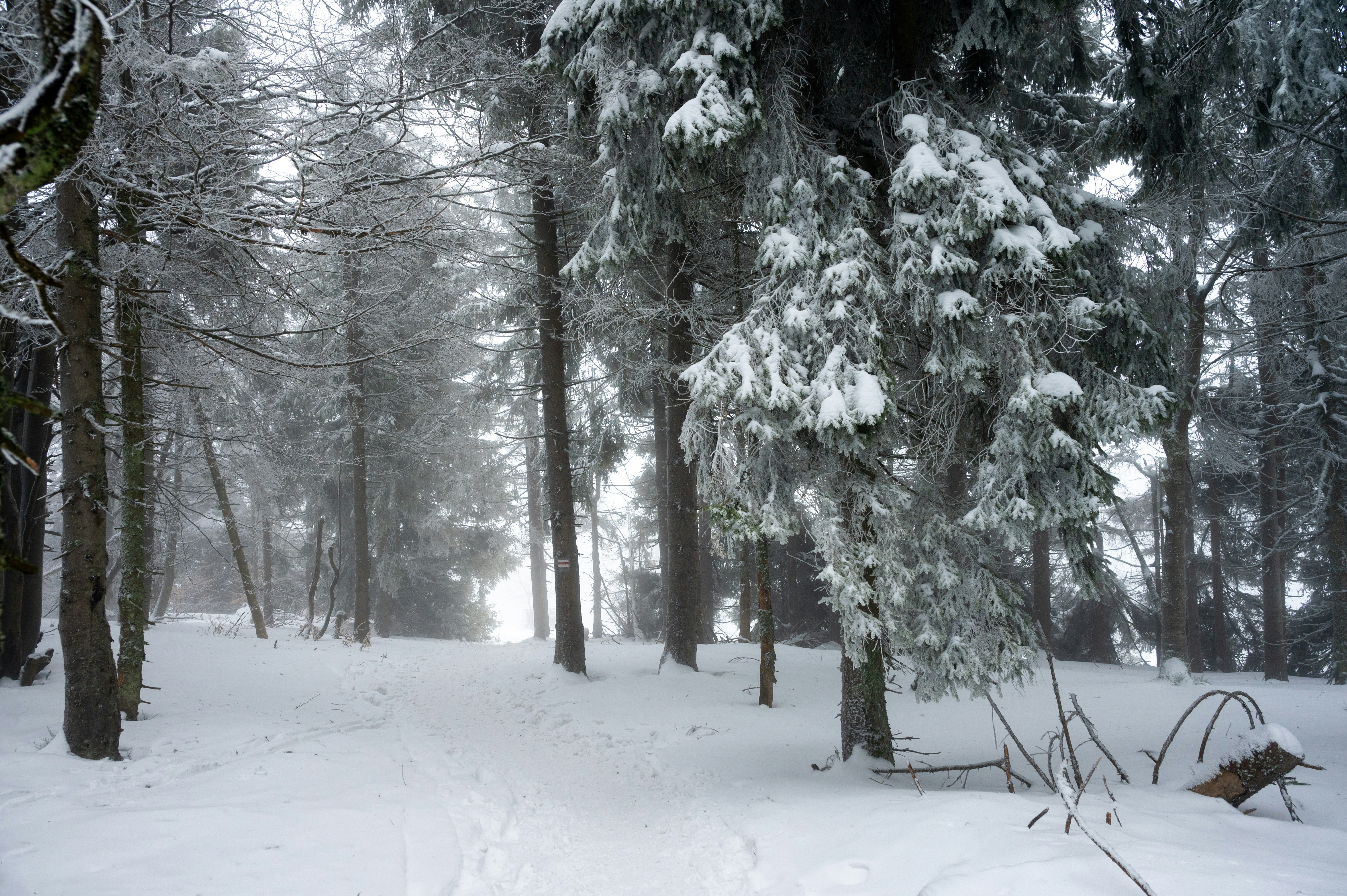 Photo by alexandra_p_d