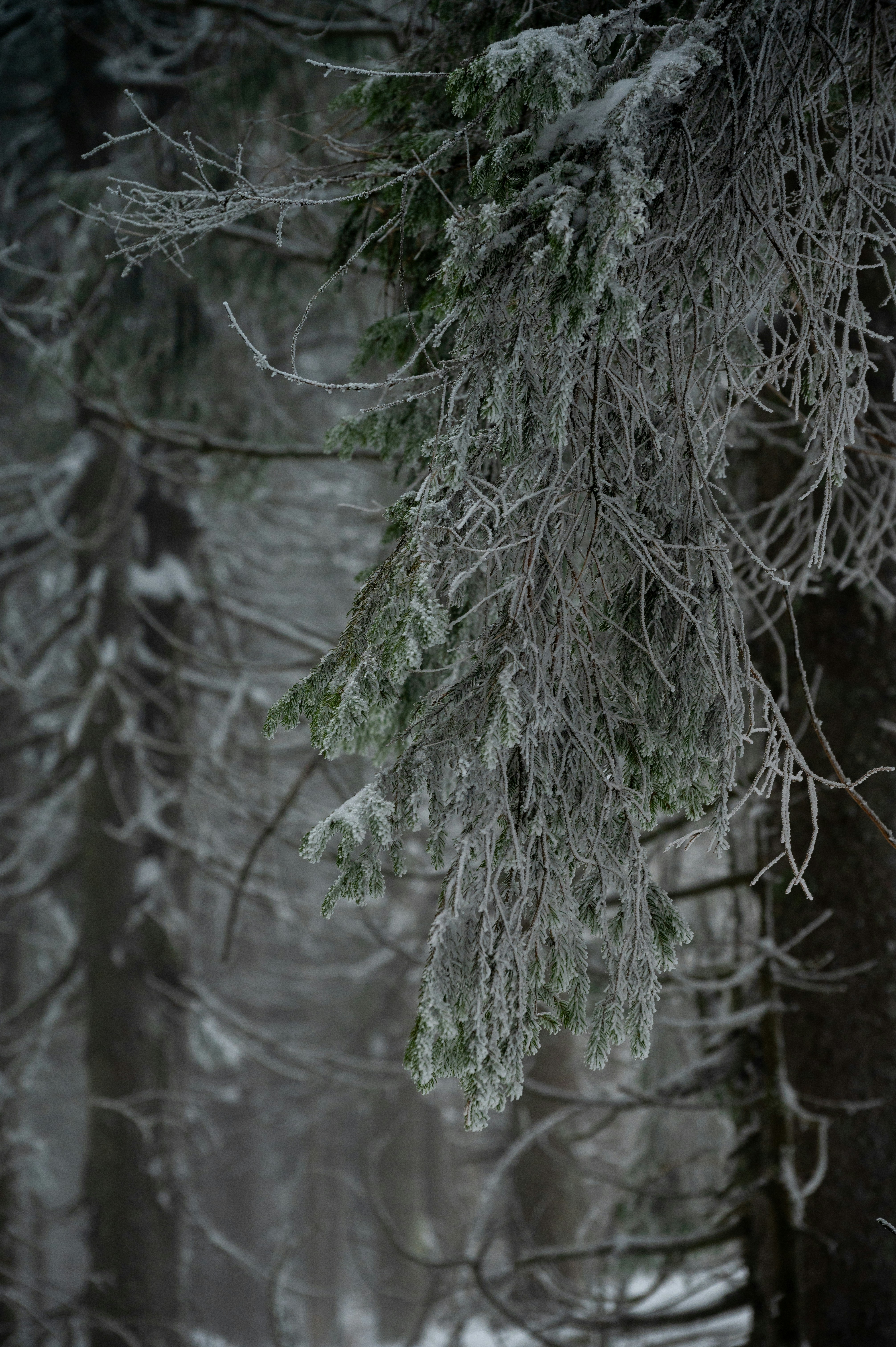 Photo by alexandra_p_d