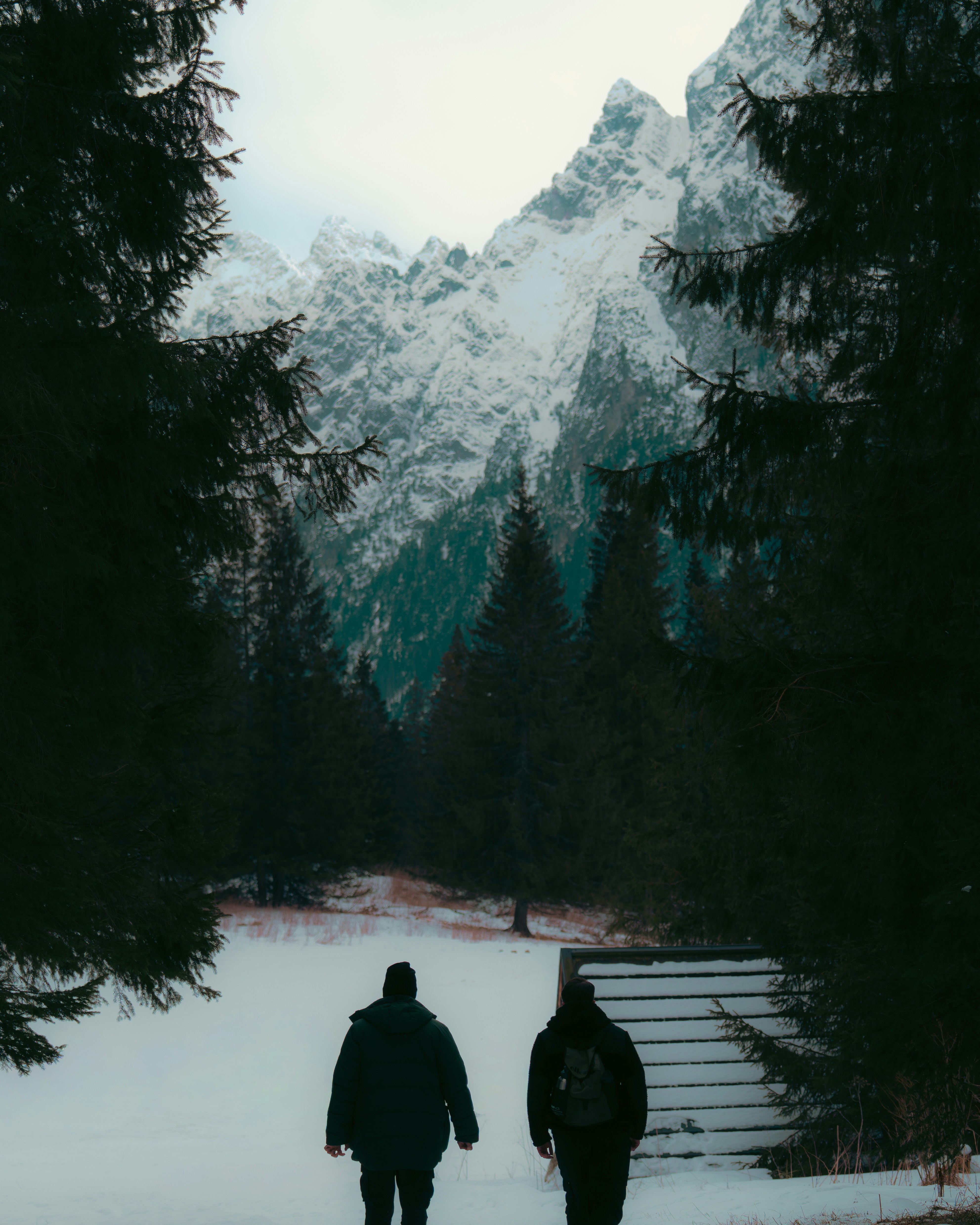 Two people walk towards snowy mountains through trees