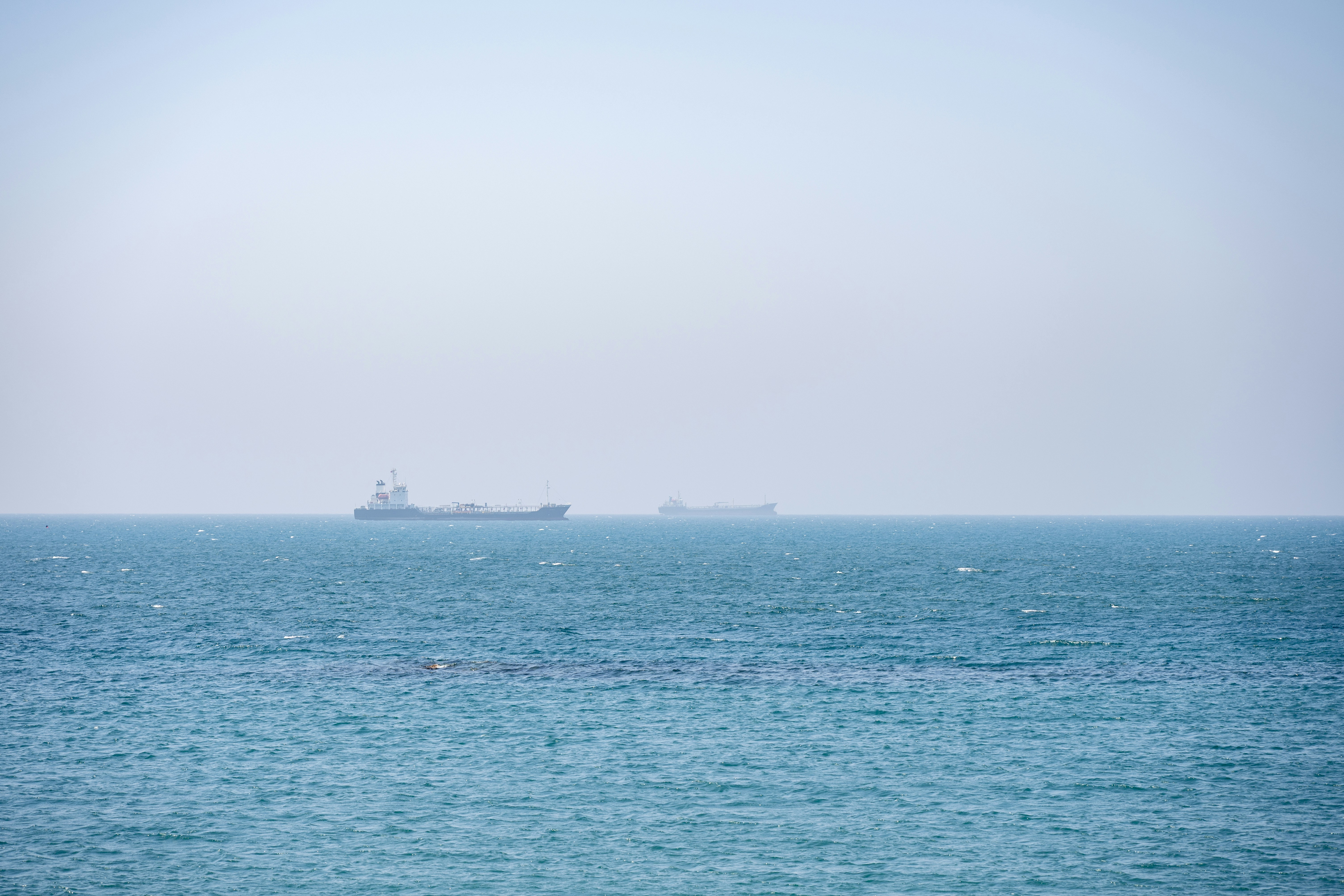 Photo by turquocabbit