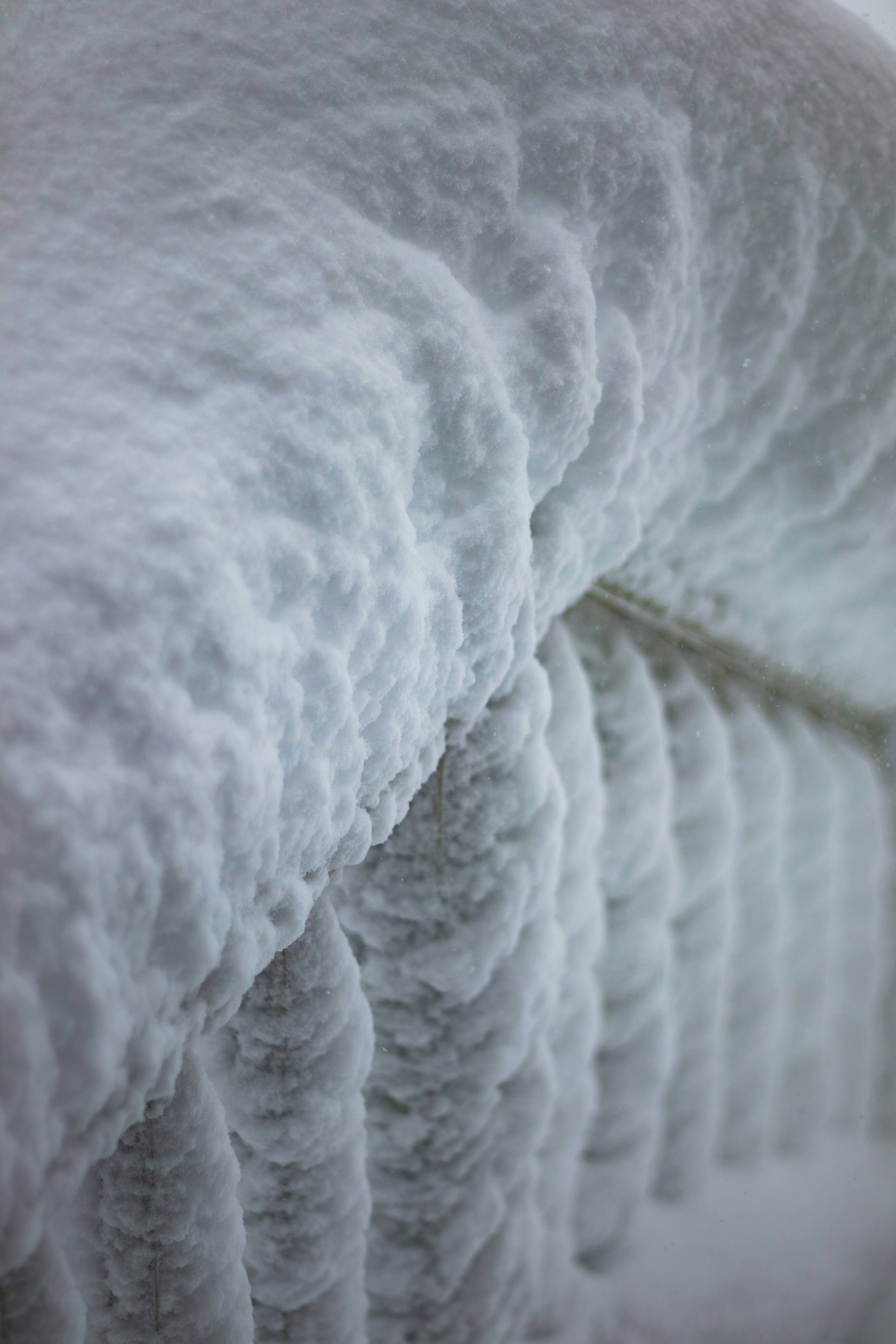 durable insulated winter fabric, wallpaper, Tips Selecting Durable Insulated Fabrics for Extreme Weather 3
