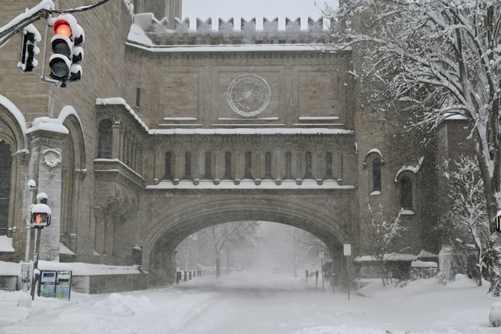 University of New Haven