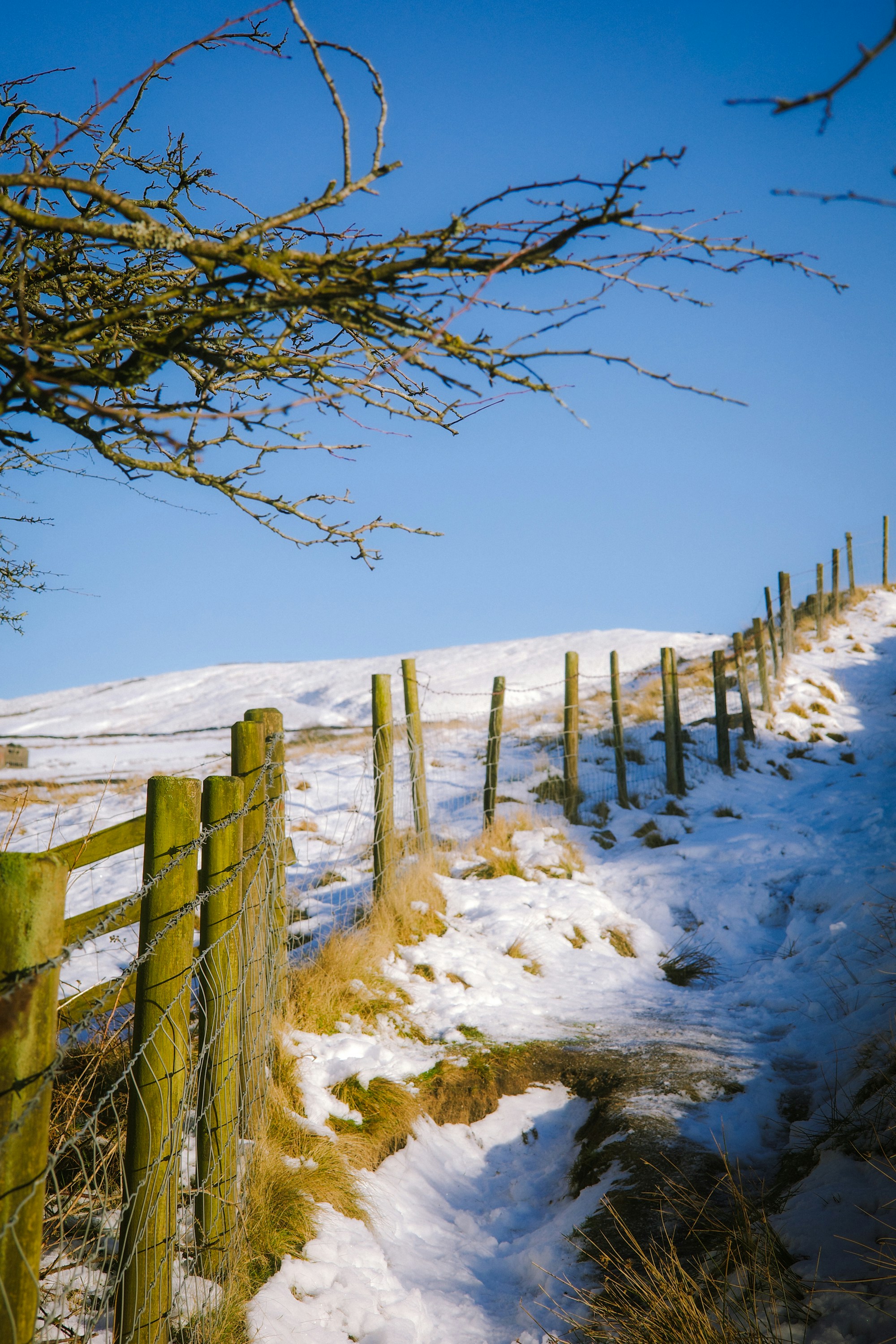 Photo by jamiekettle10