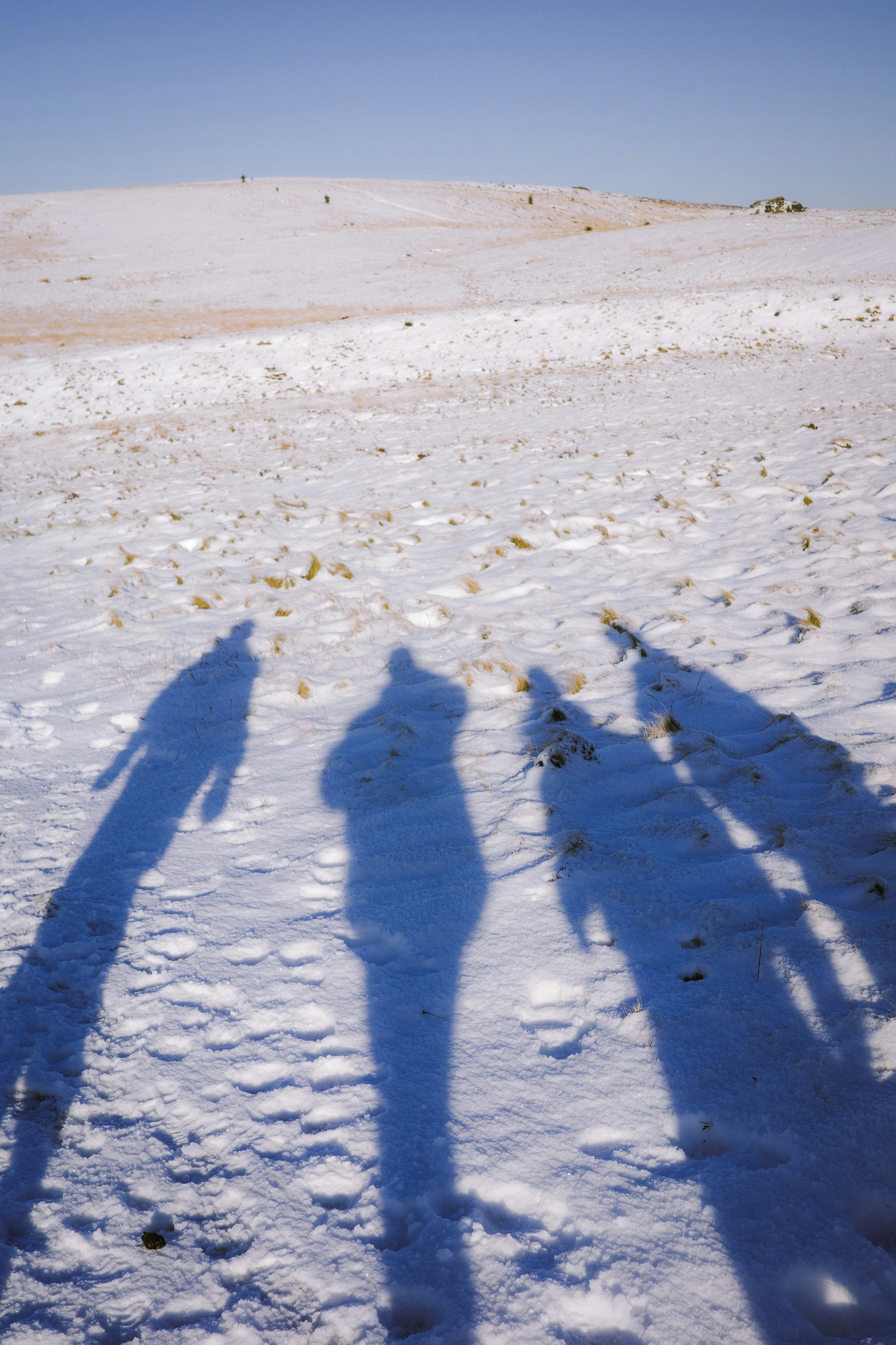 Photo by jamiekettle10