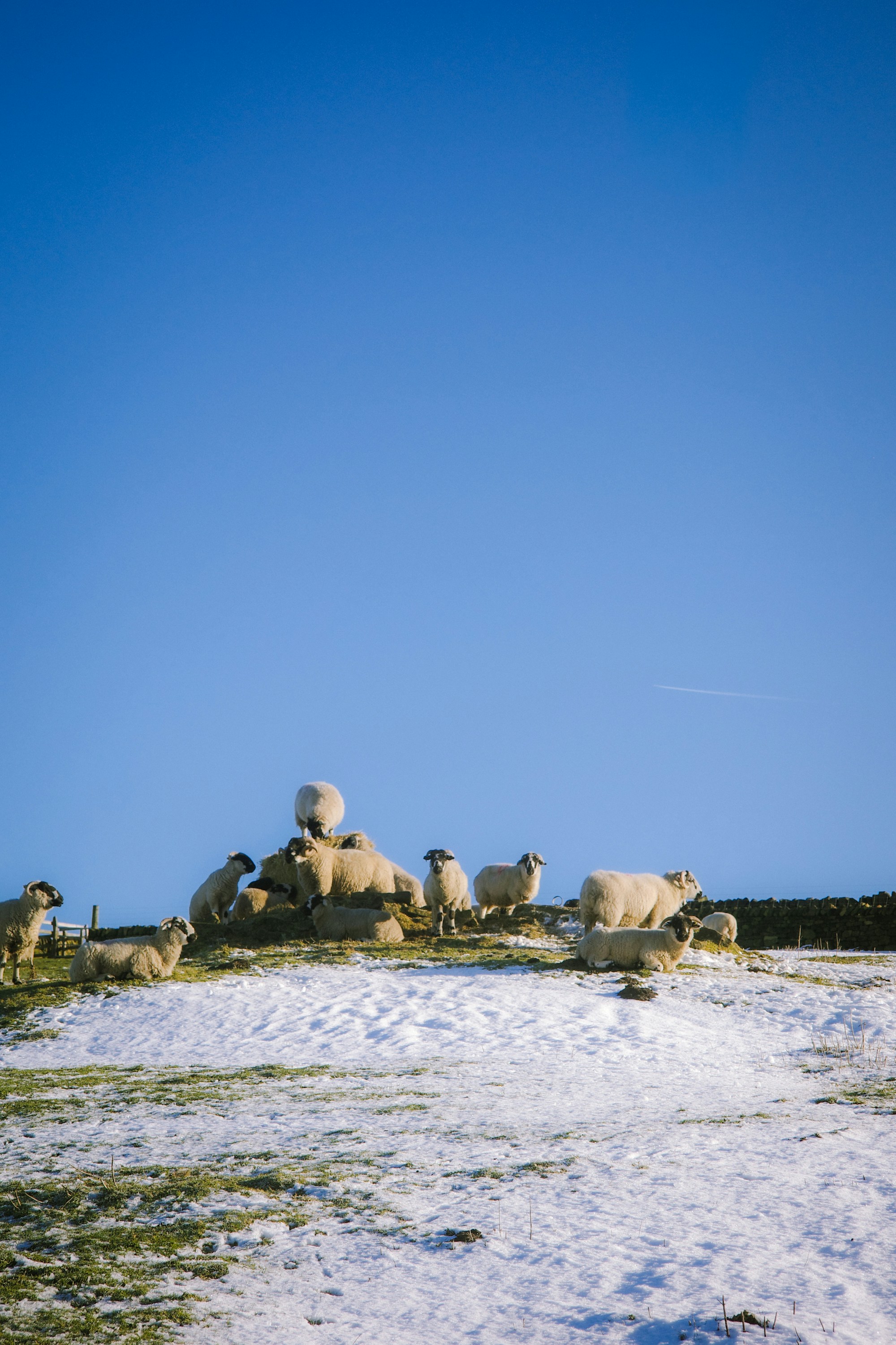 Photo by jamiekettle10