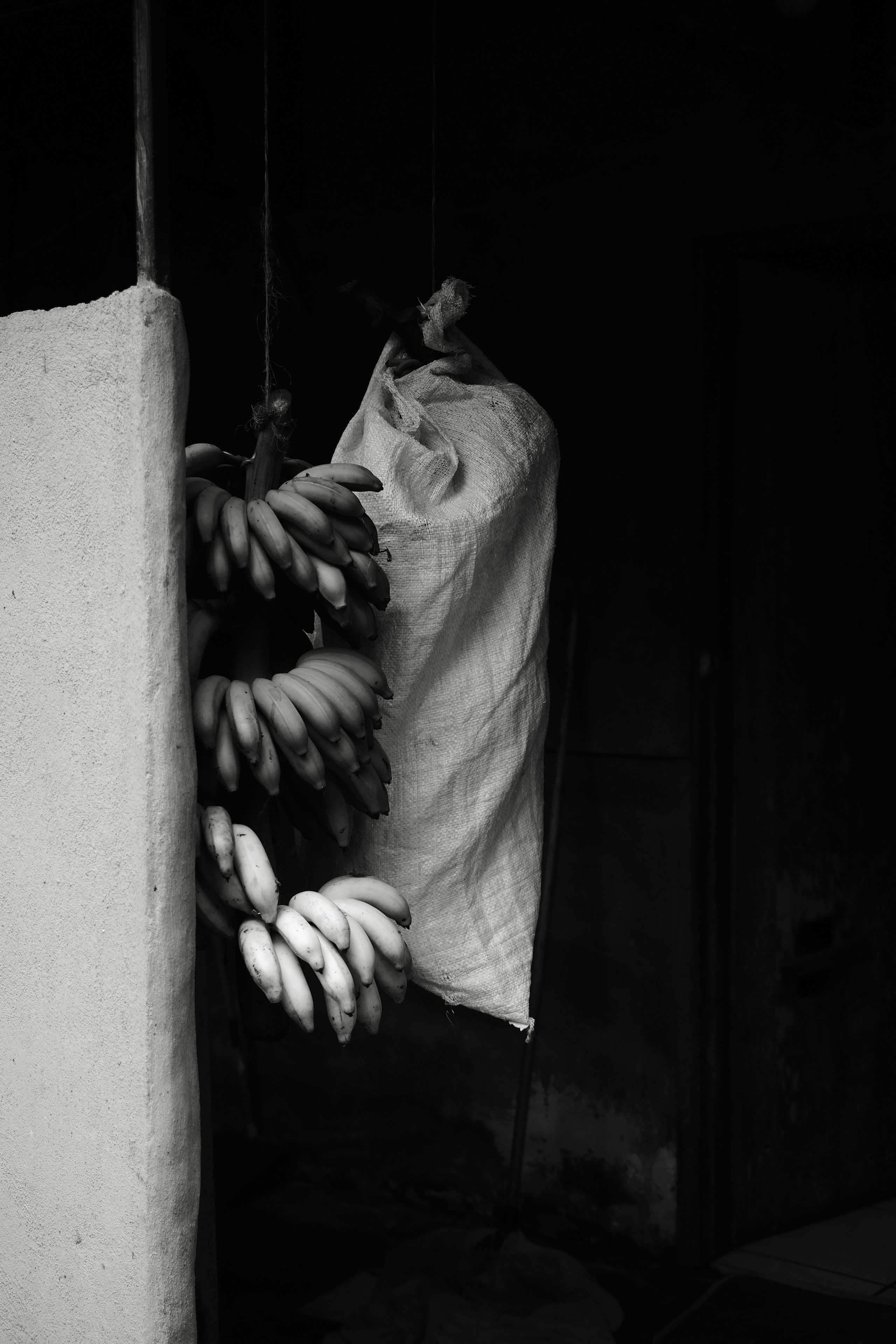 Photo by tristan_nicolaides