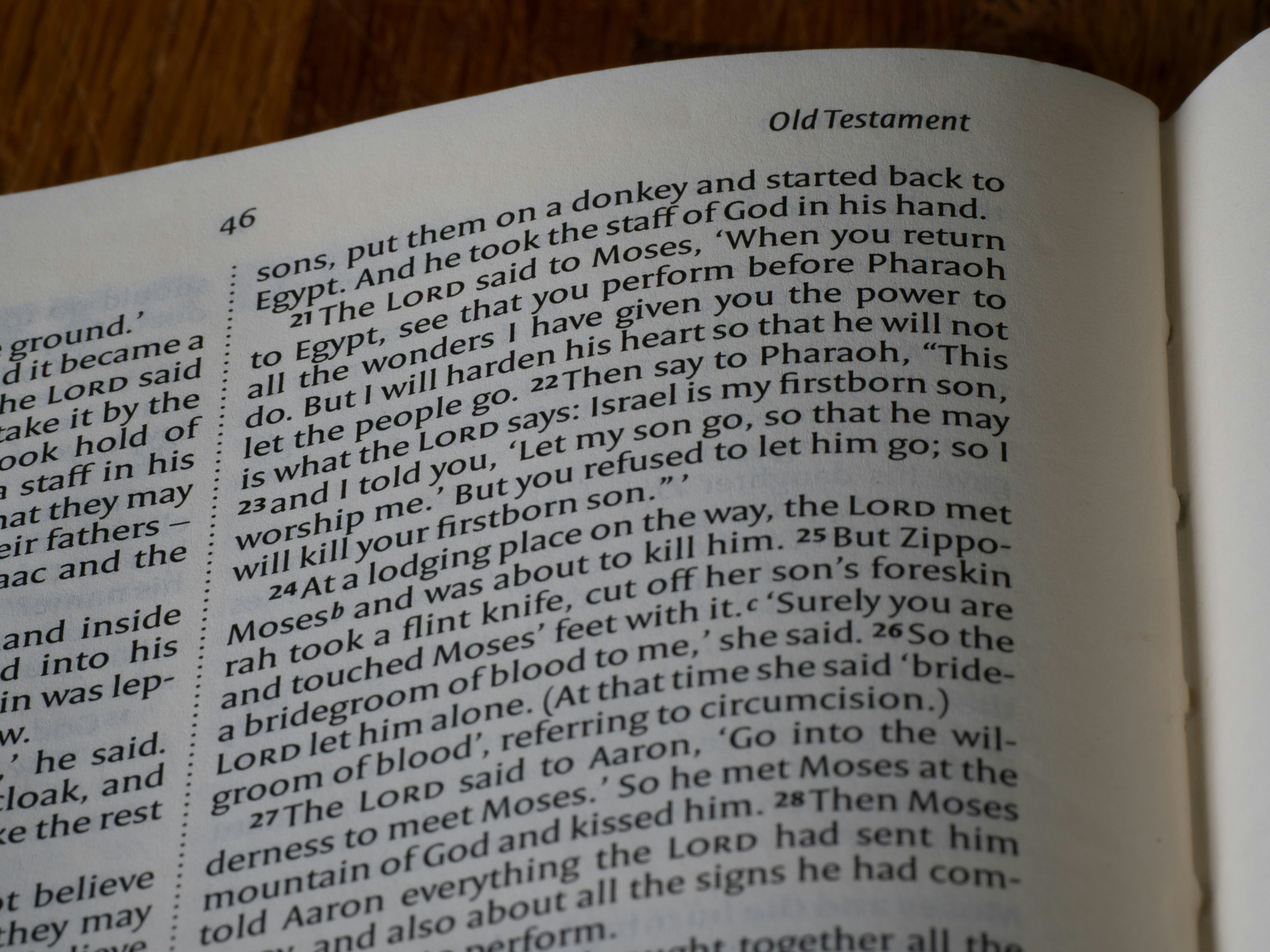 Gros plan d’une bible ouverte montrant un texte de l’Ancien Testament.