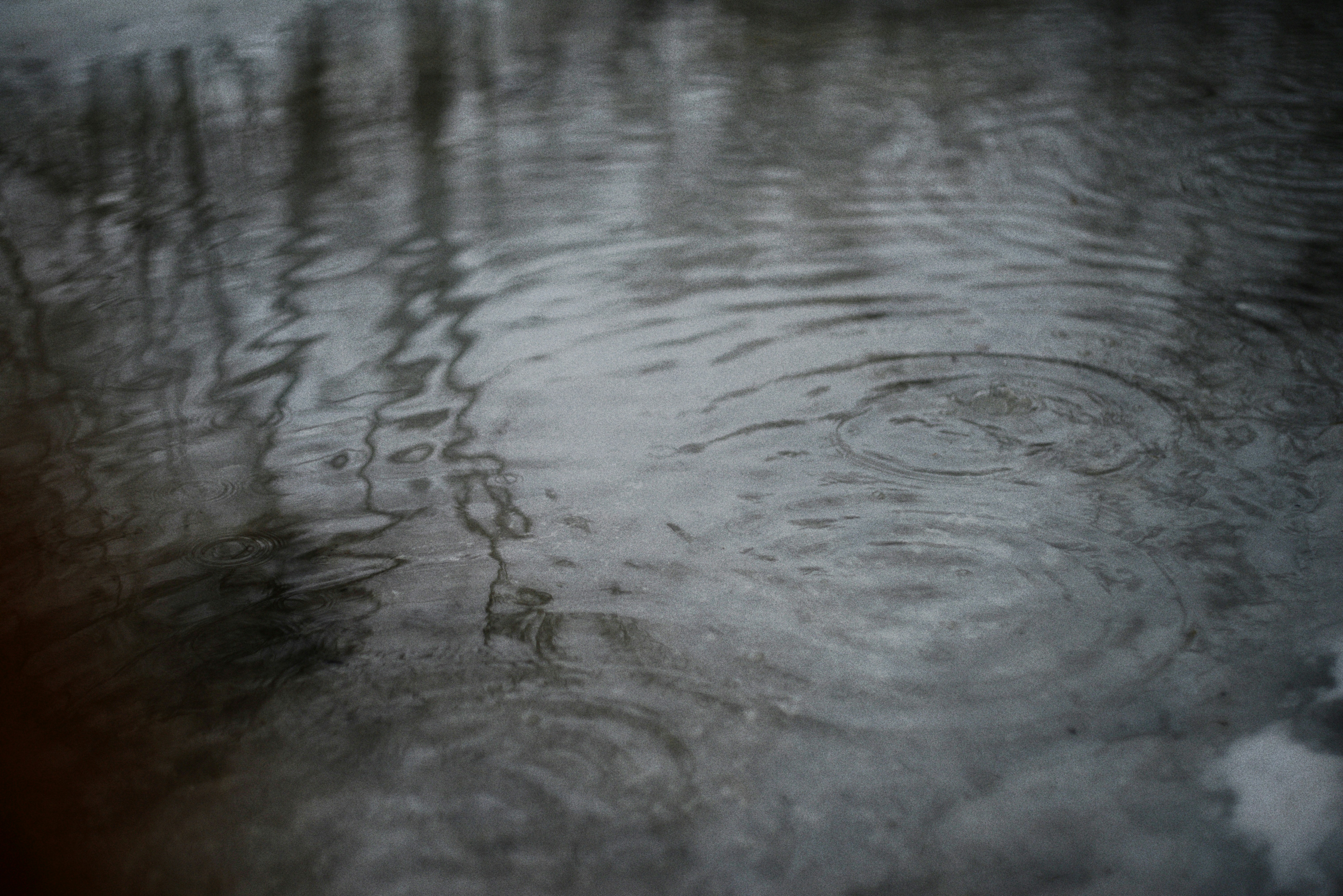 Photo by cherstve_pechivo