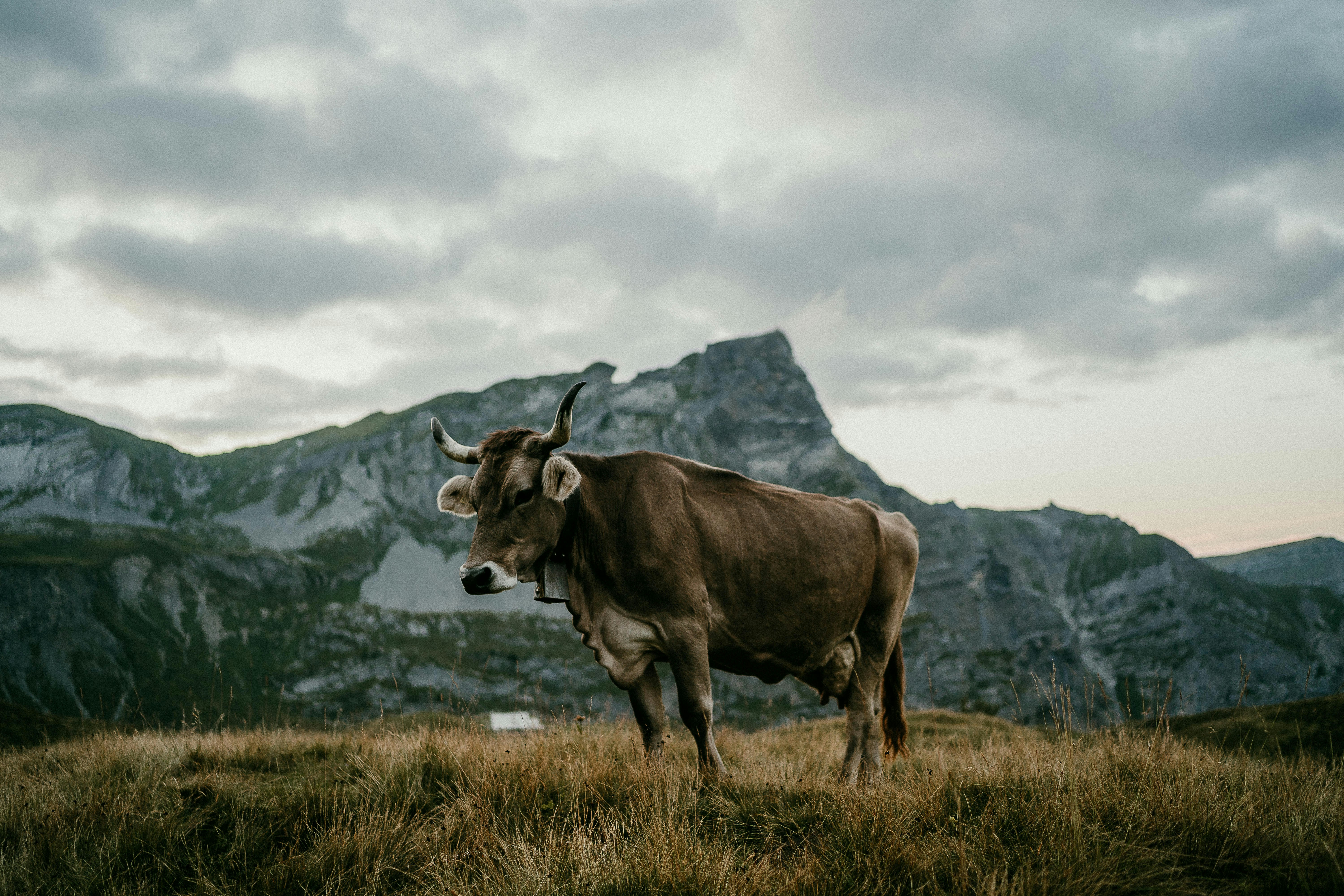 Photo by robdight
