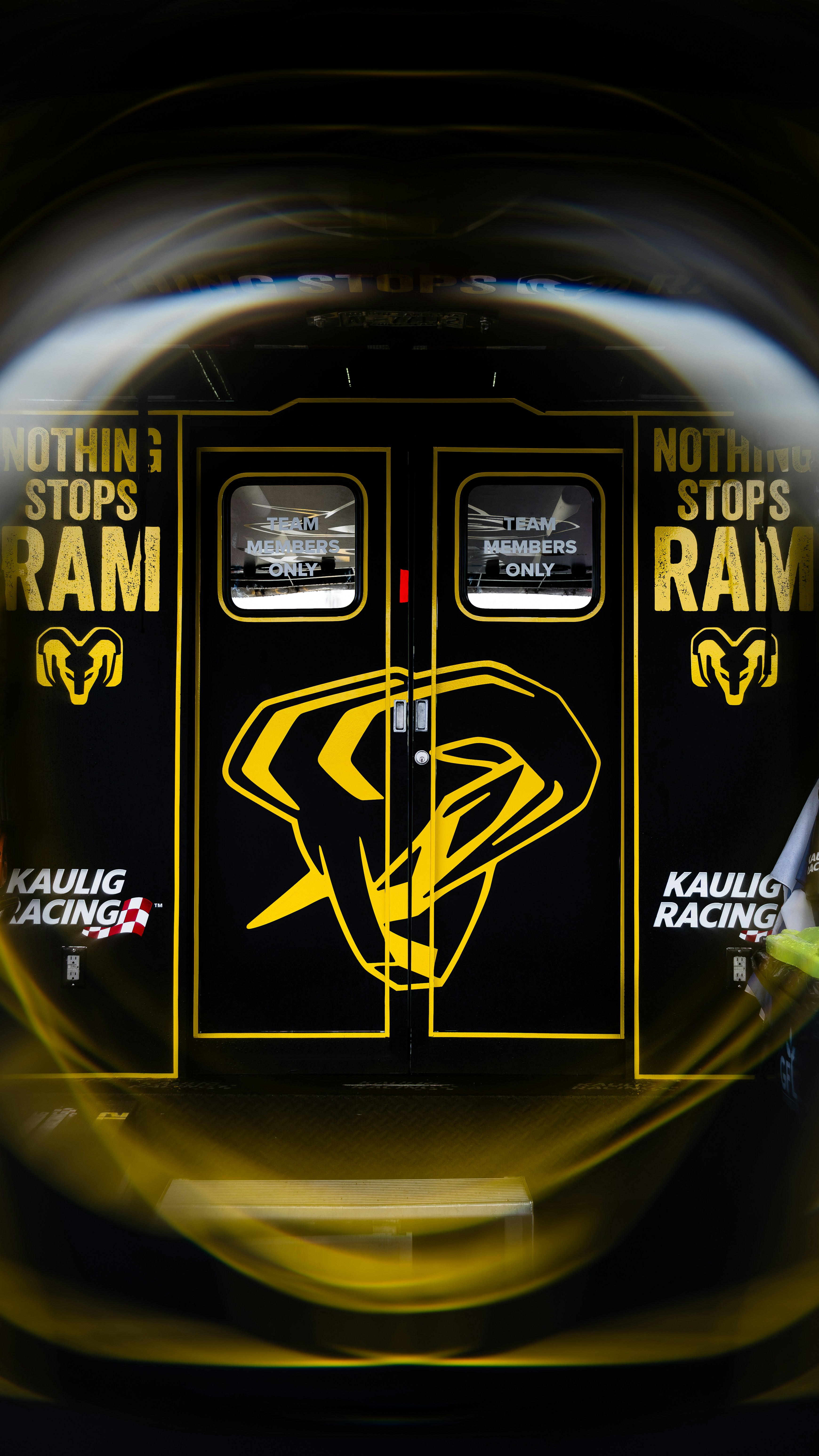 garage door professional