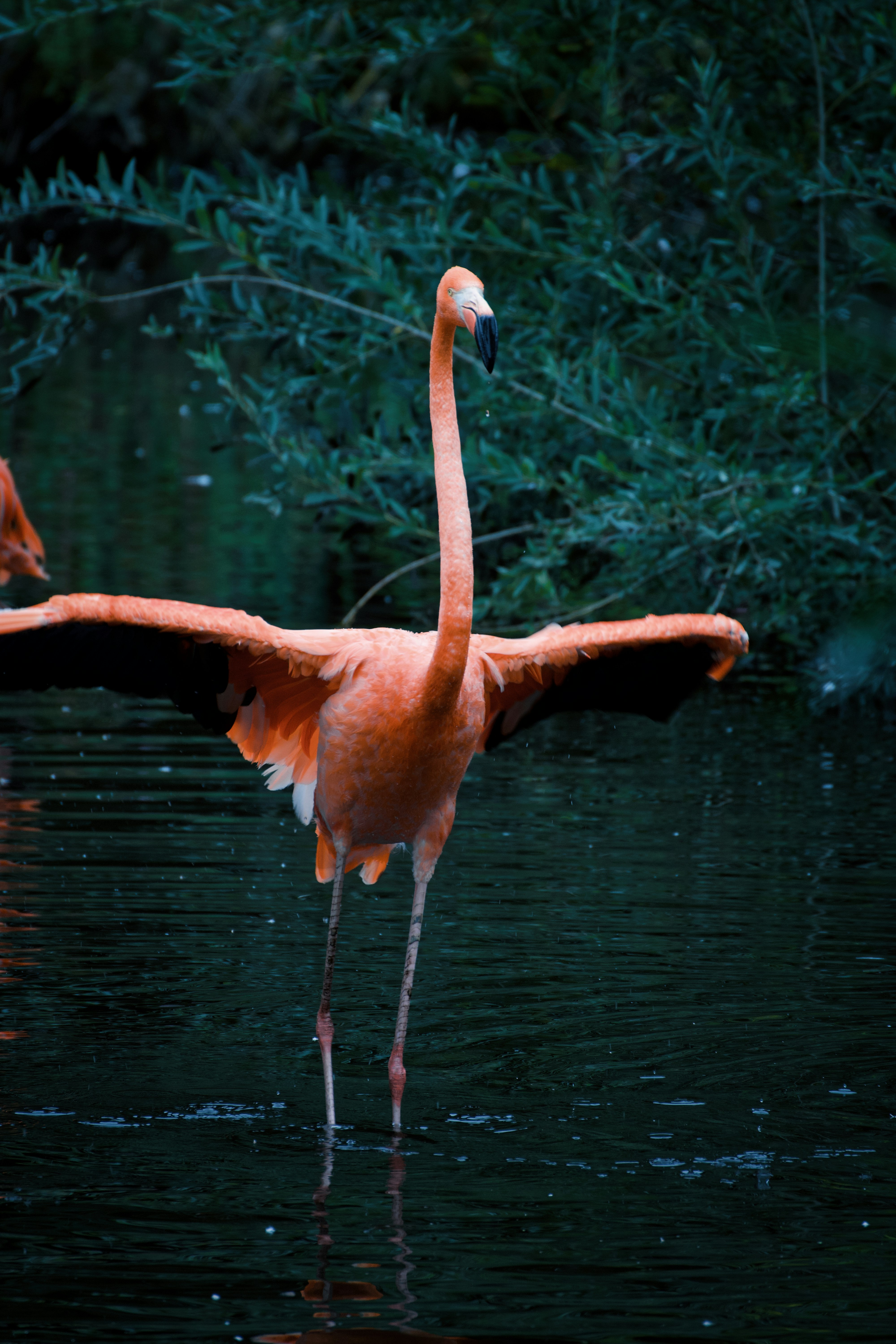 Photo by marcel_z0211