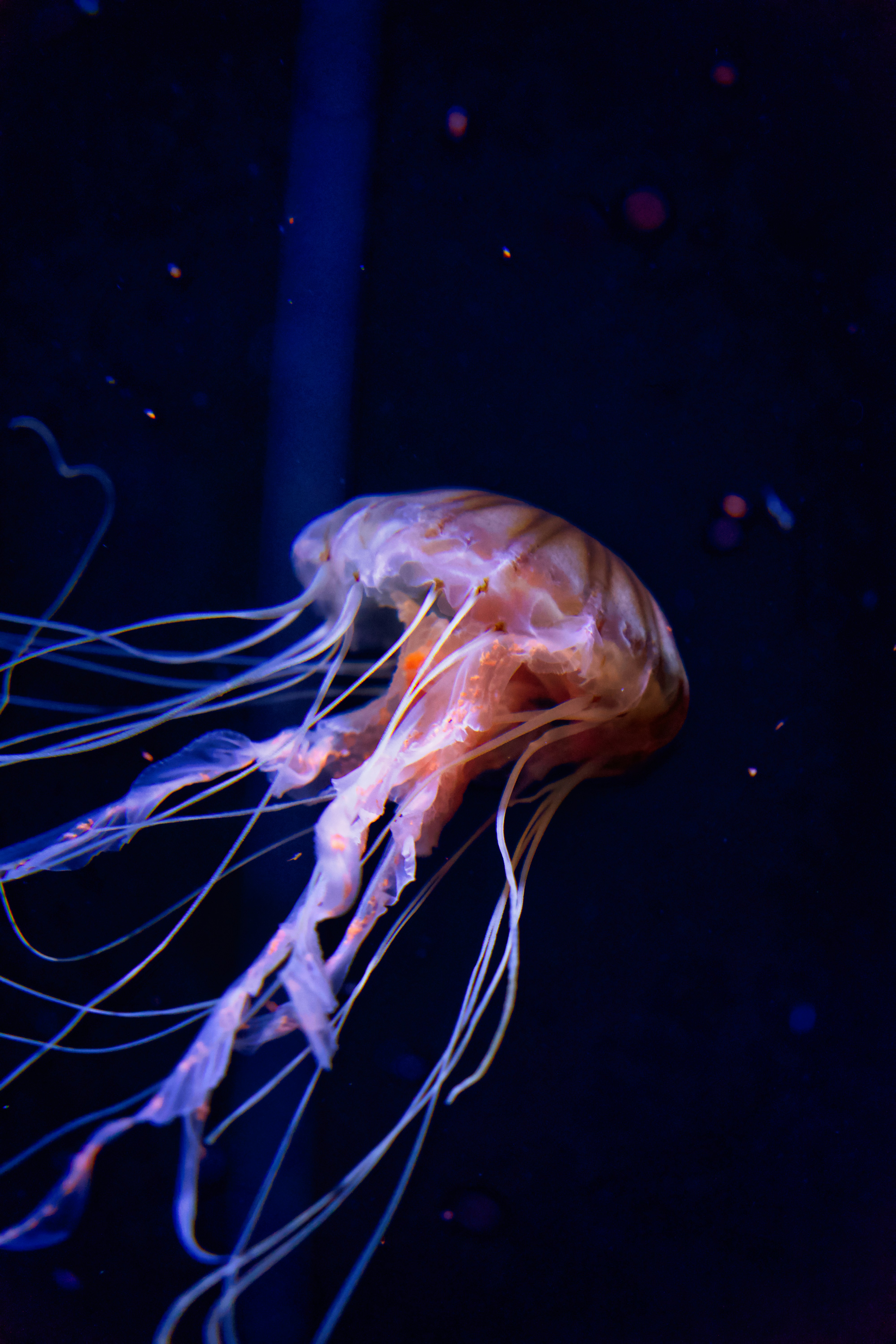 Photo by marcel_z0211