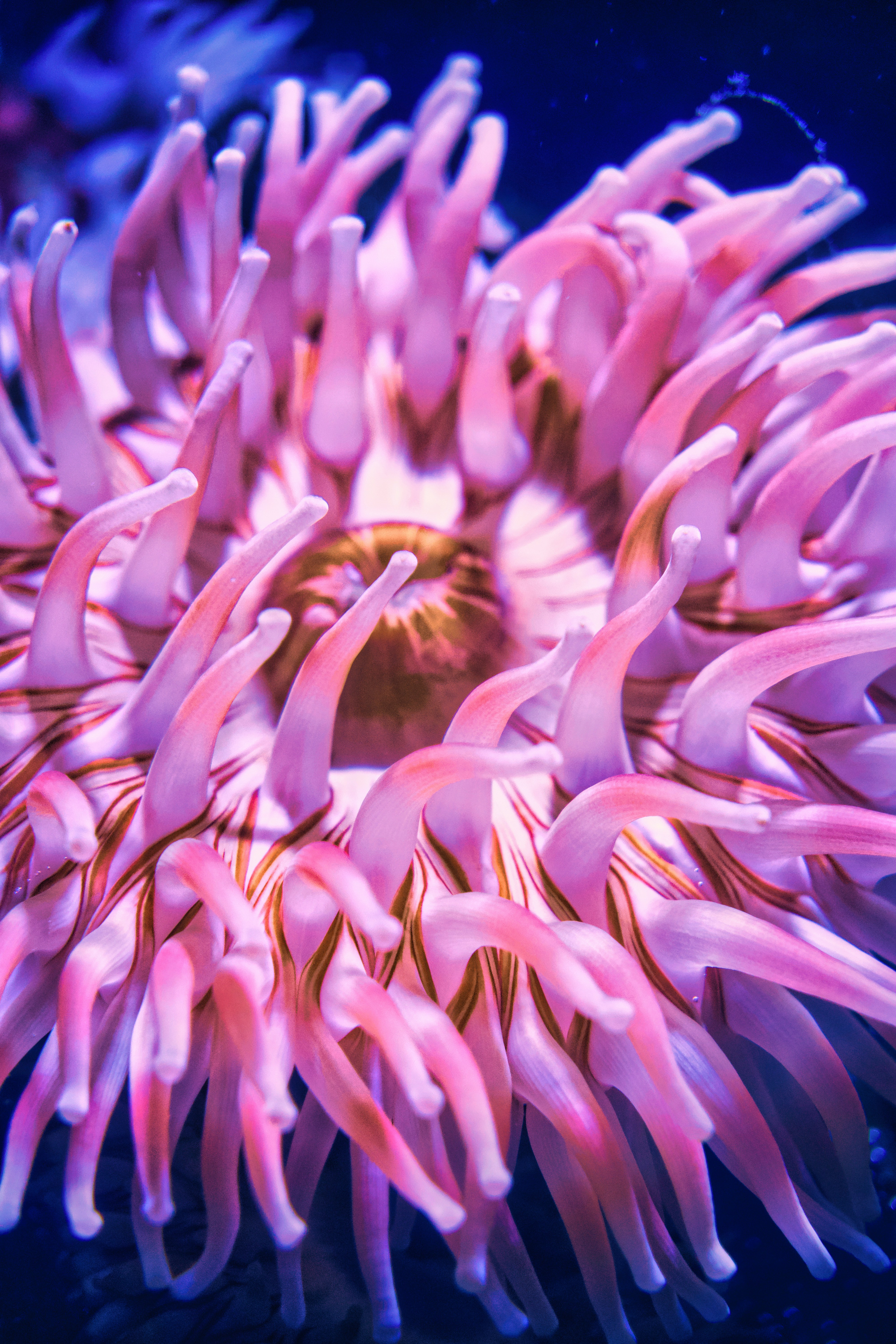 Photo by marcel_z0211