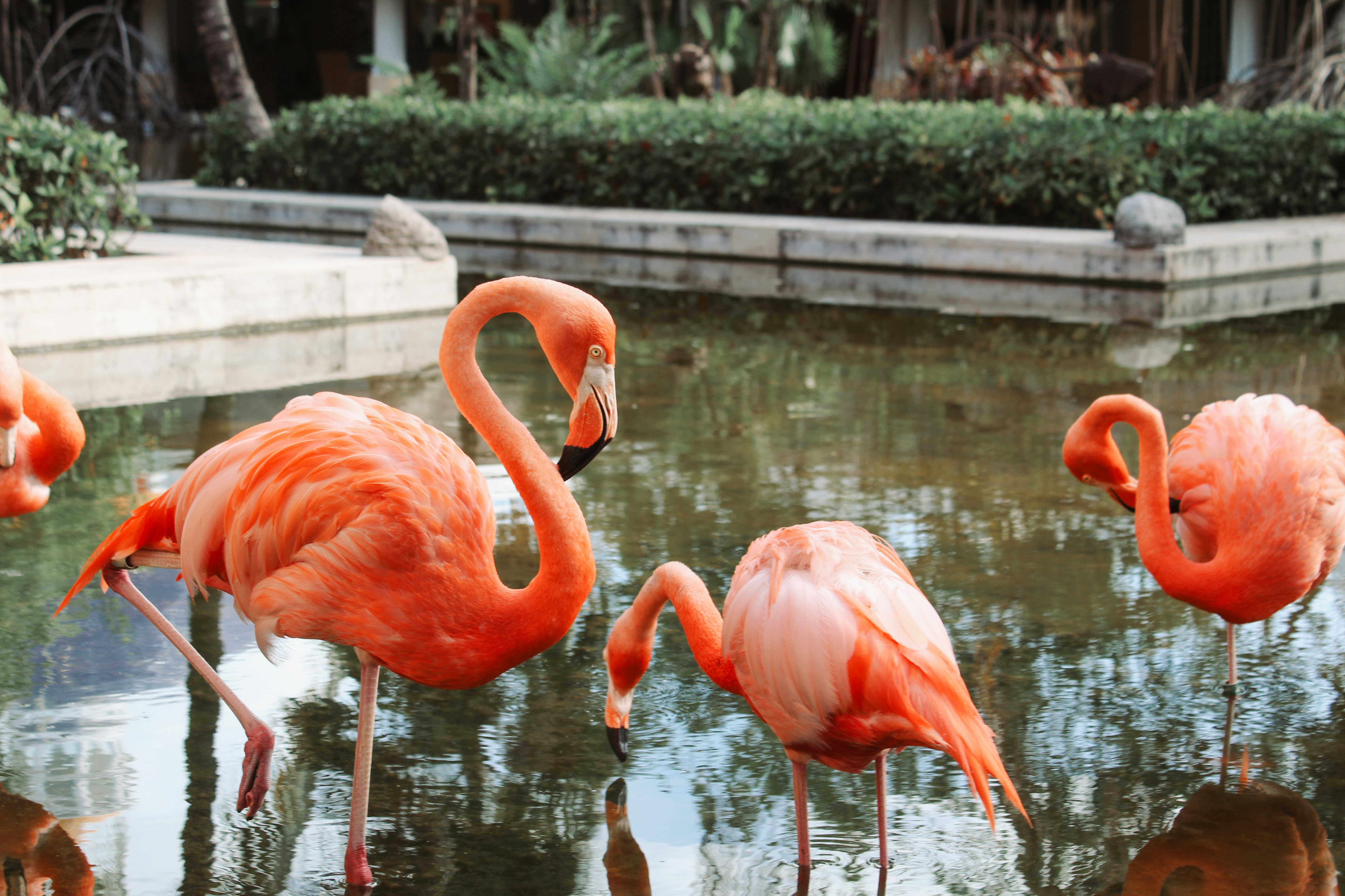 Photo by nicholehamilton