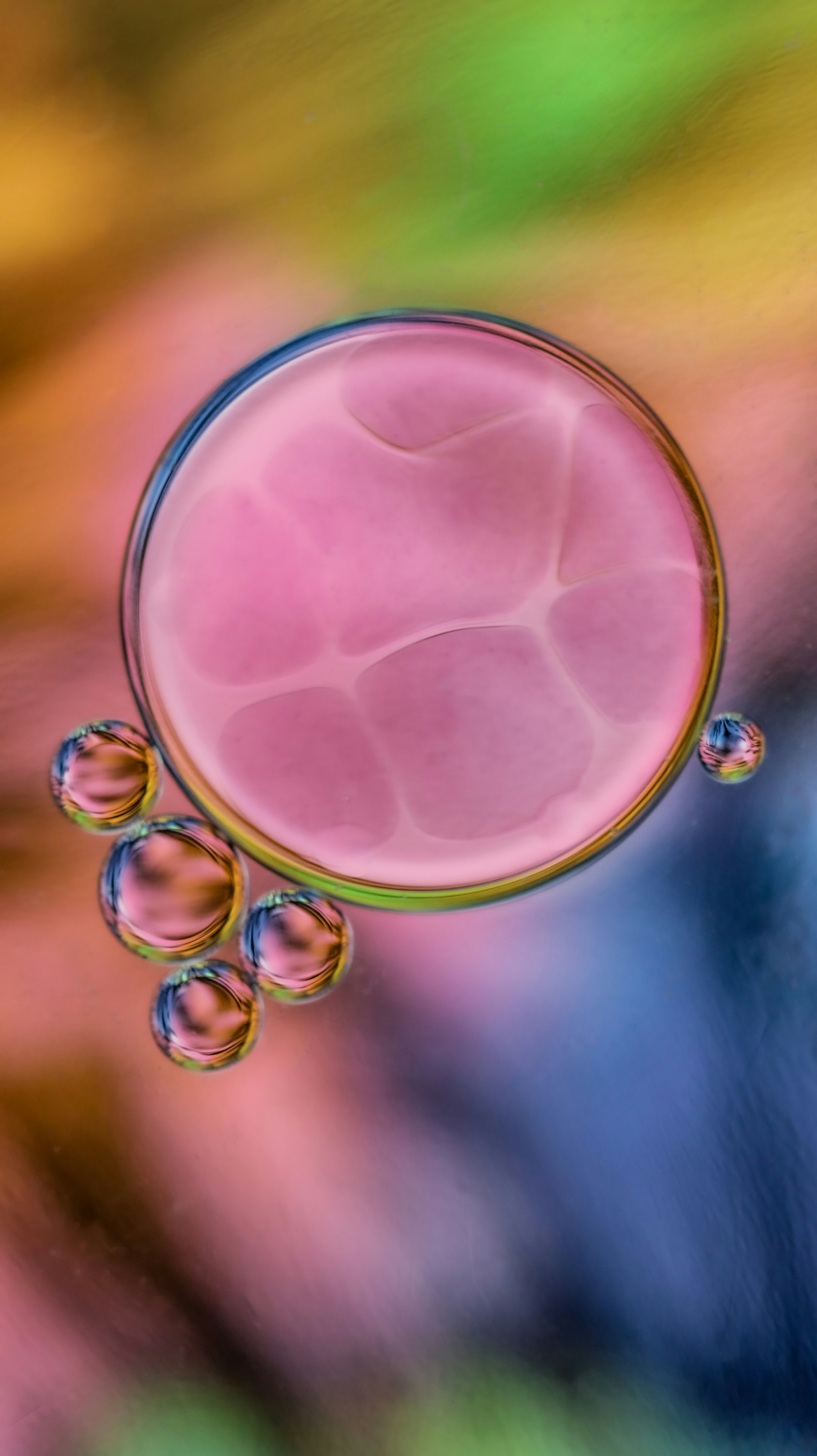 Photo by susan_wilkinson