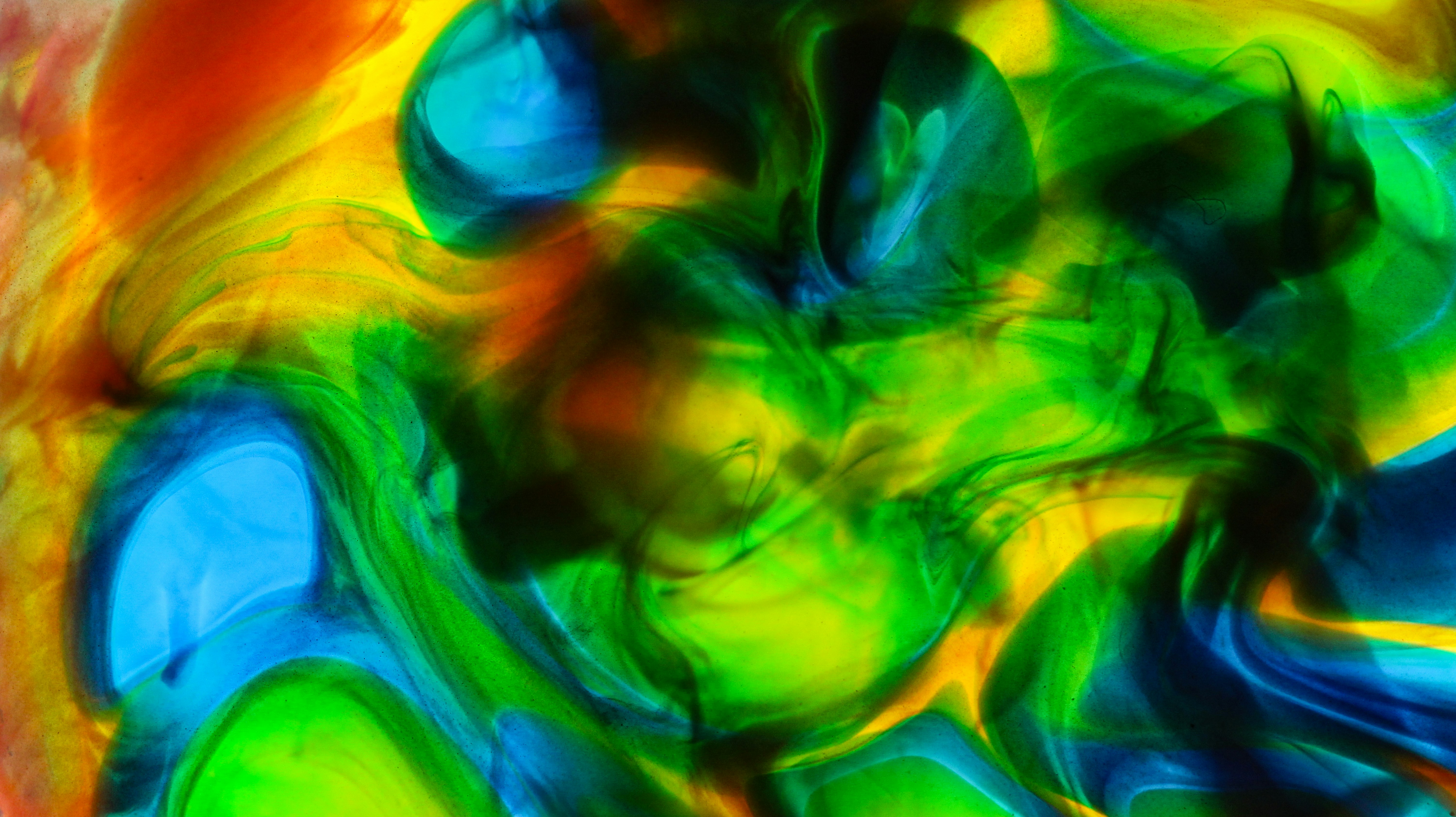 Photo by susan_wilkinson