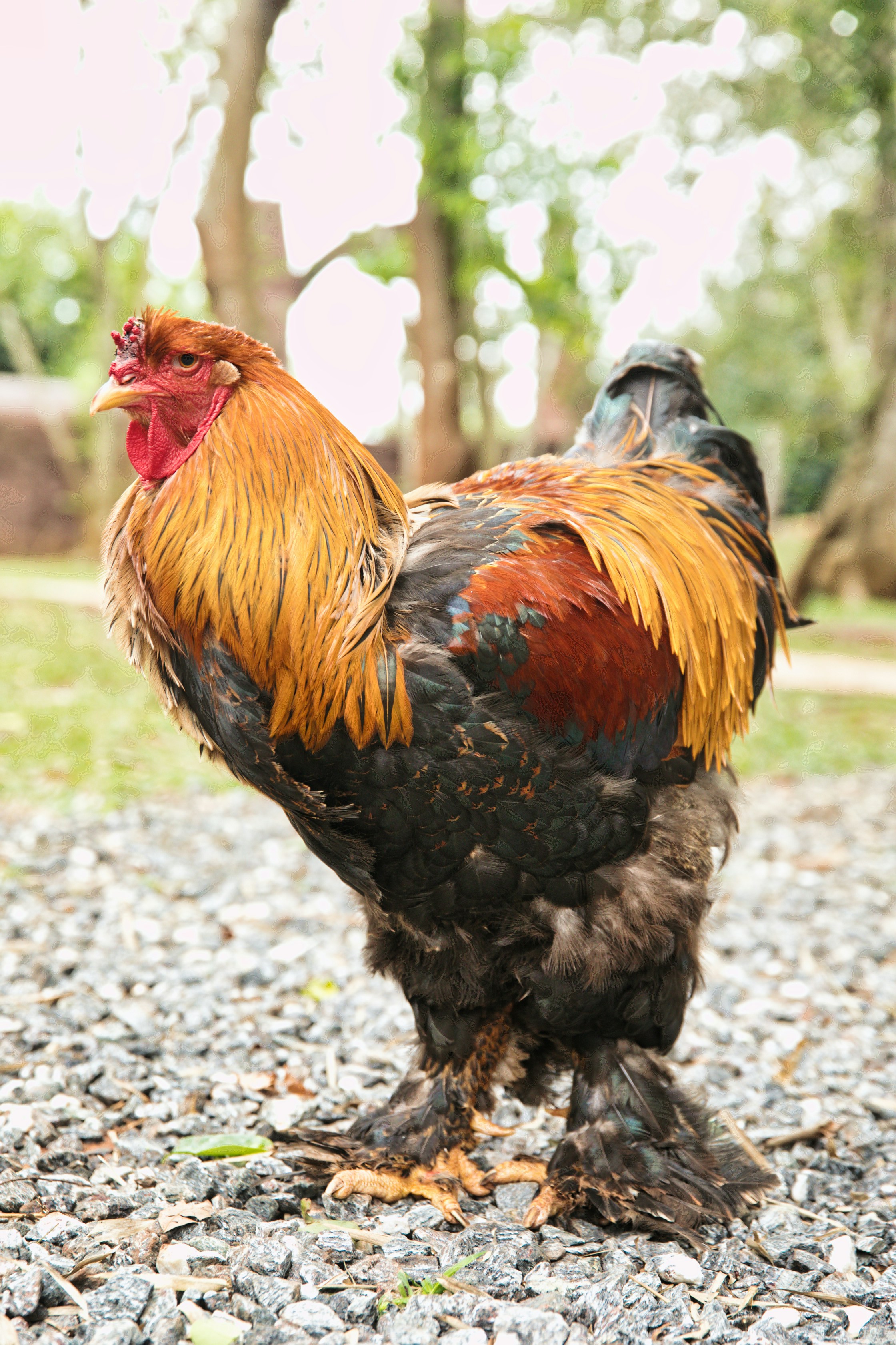 Photo by ozzzyphotos