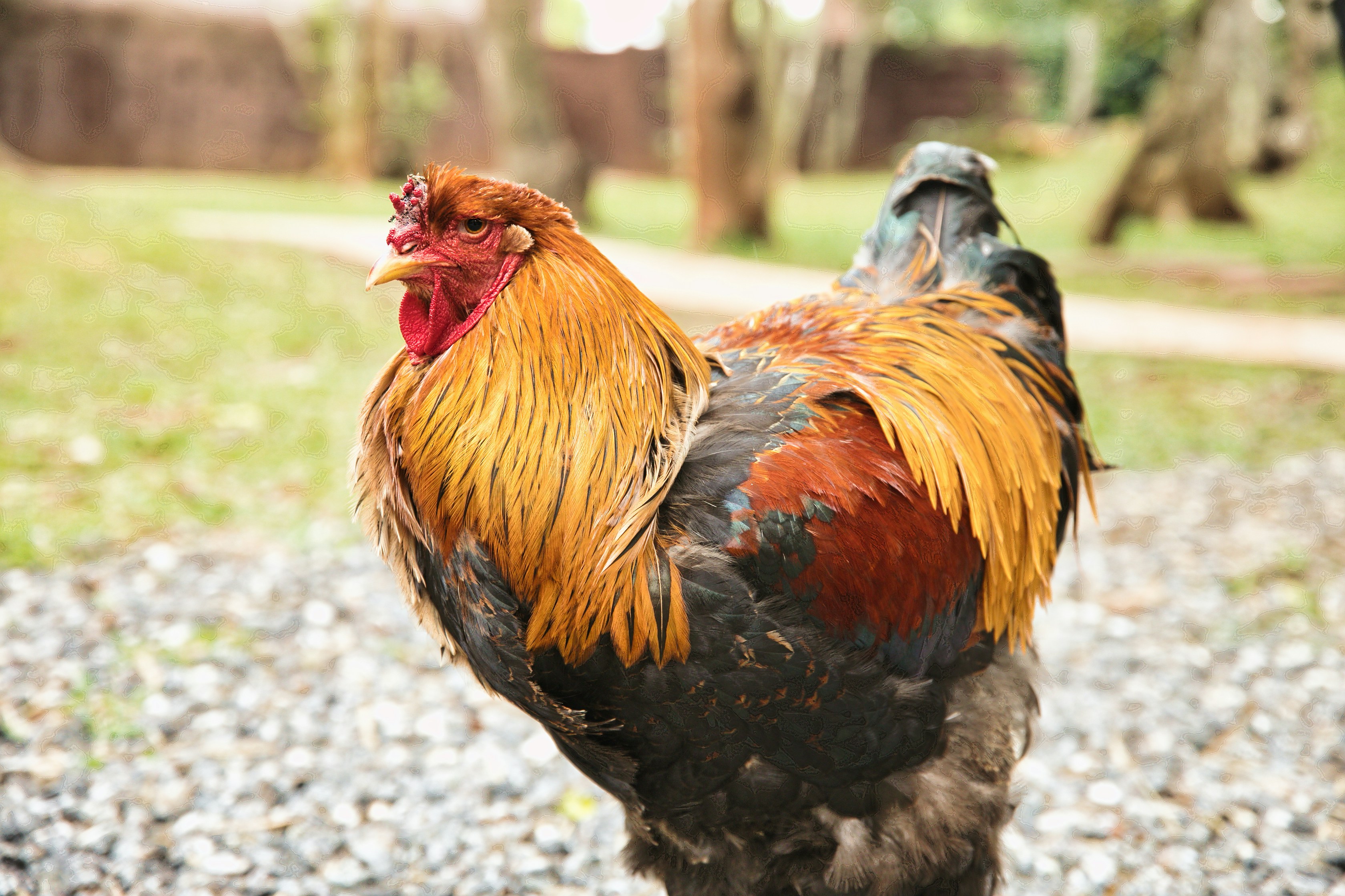 Photo by ozzzyphotos