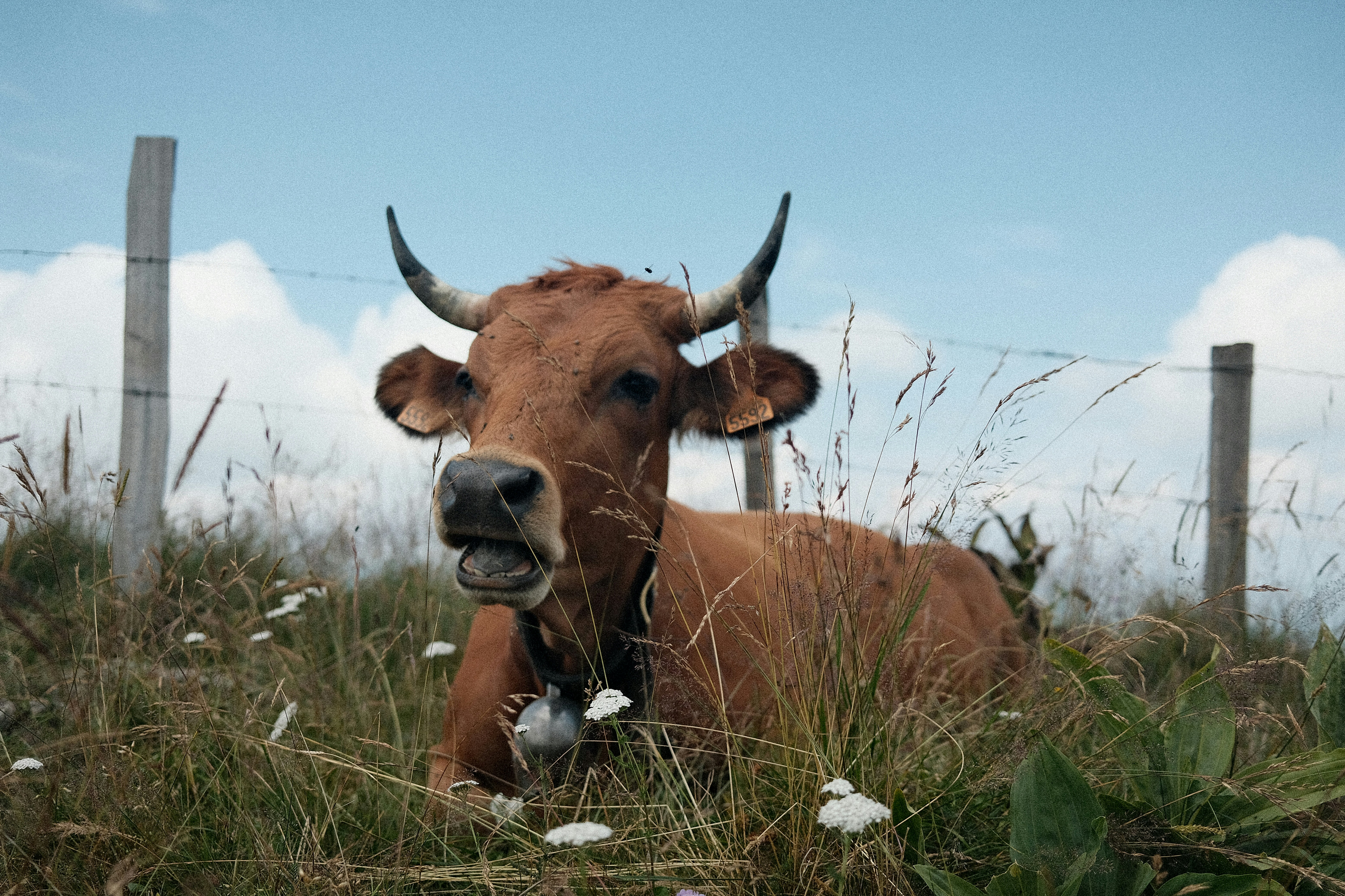 Photo by valentinlacoste