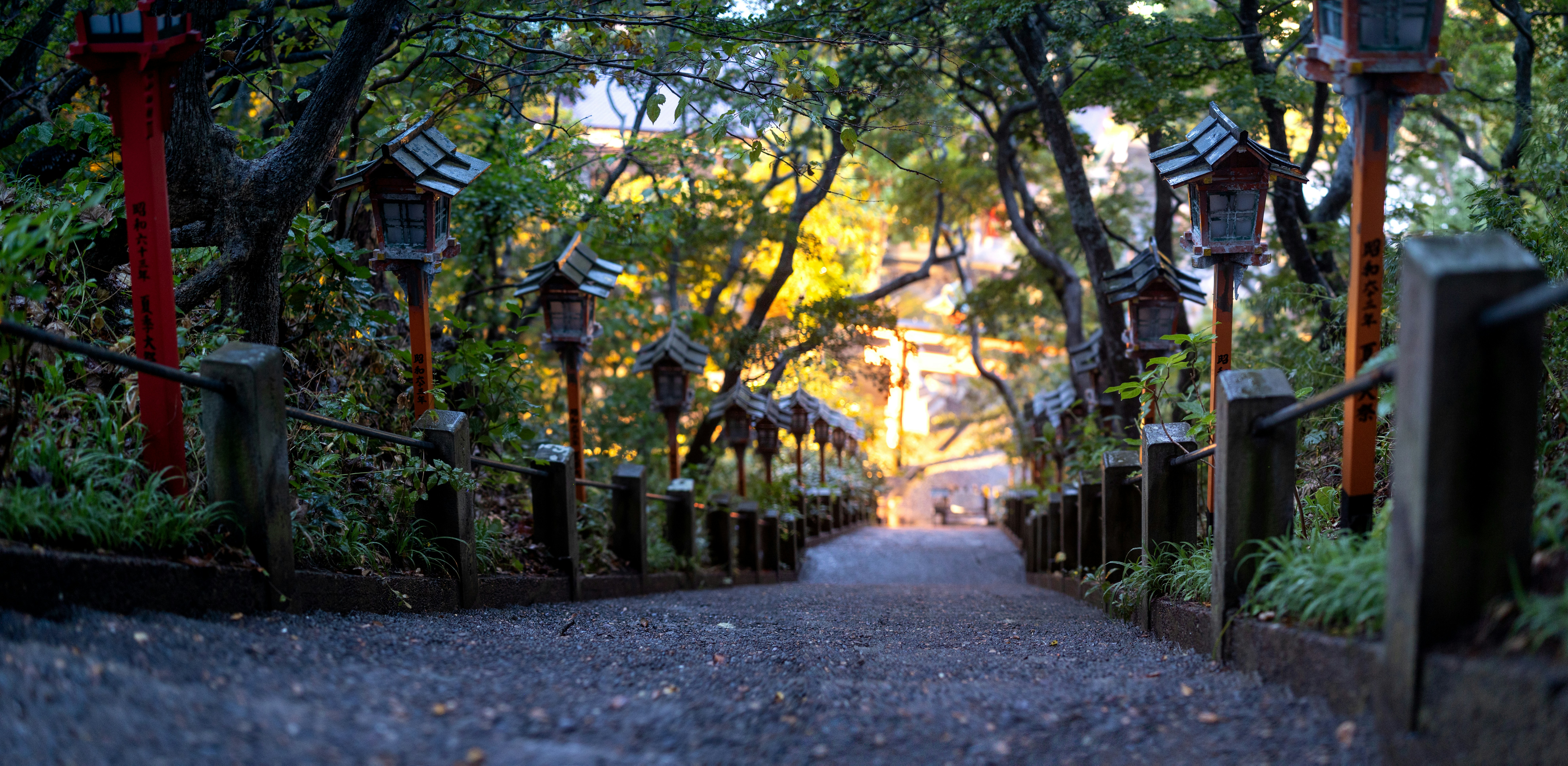 Stone path lined with lanterns and trees