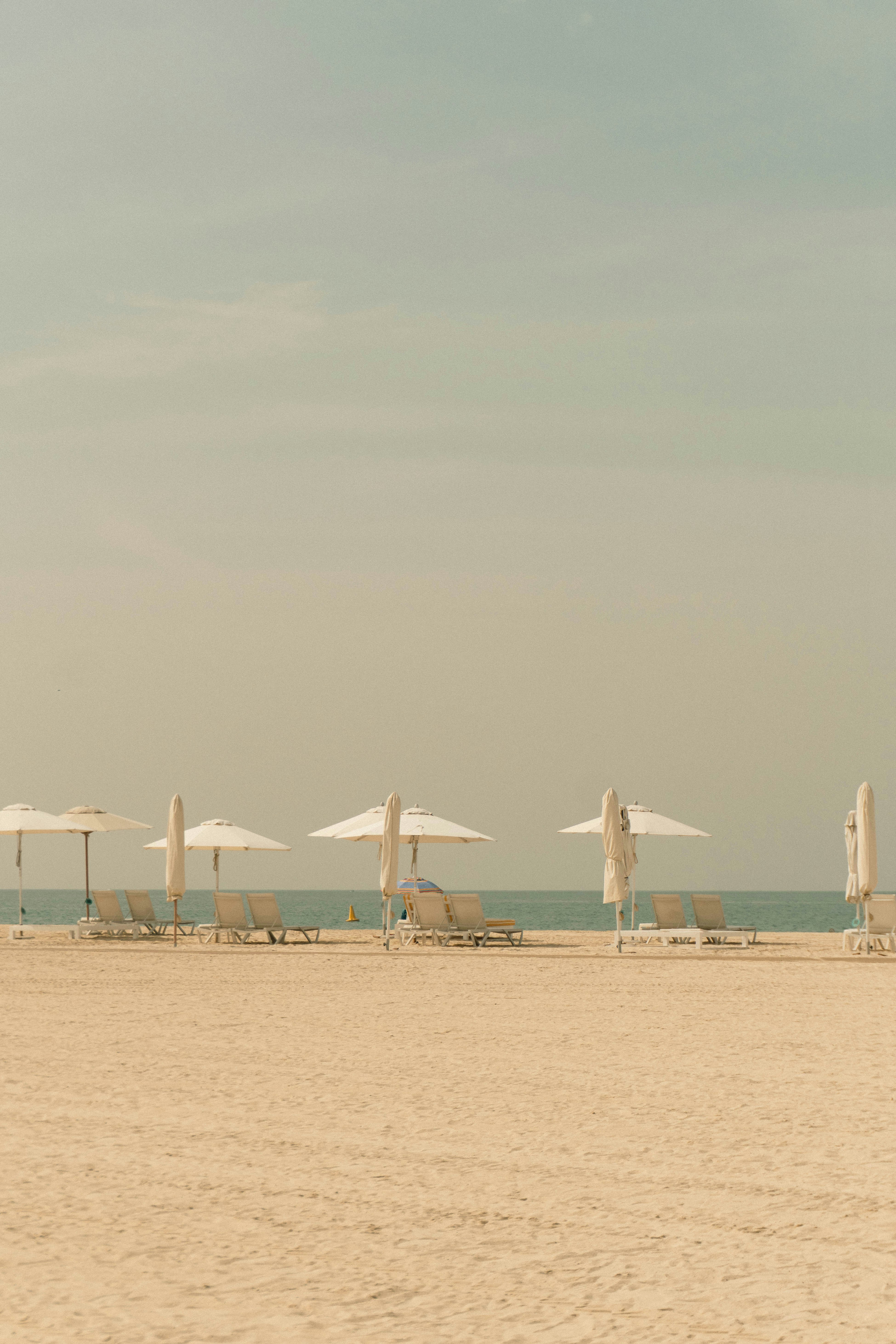 Beach chairs and umbrellas line a sandy shore.