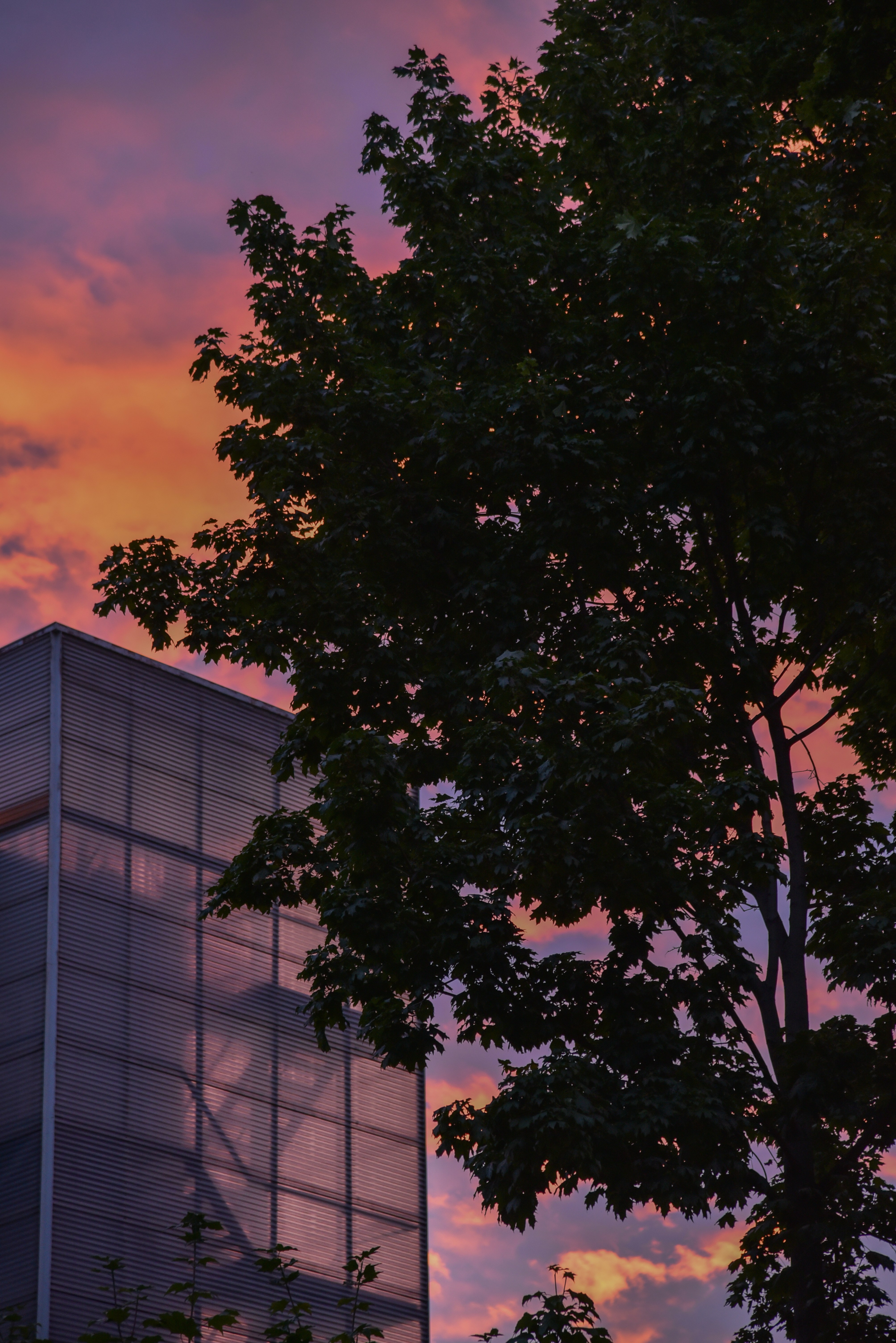 Photo by kucheryavy