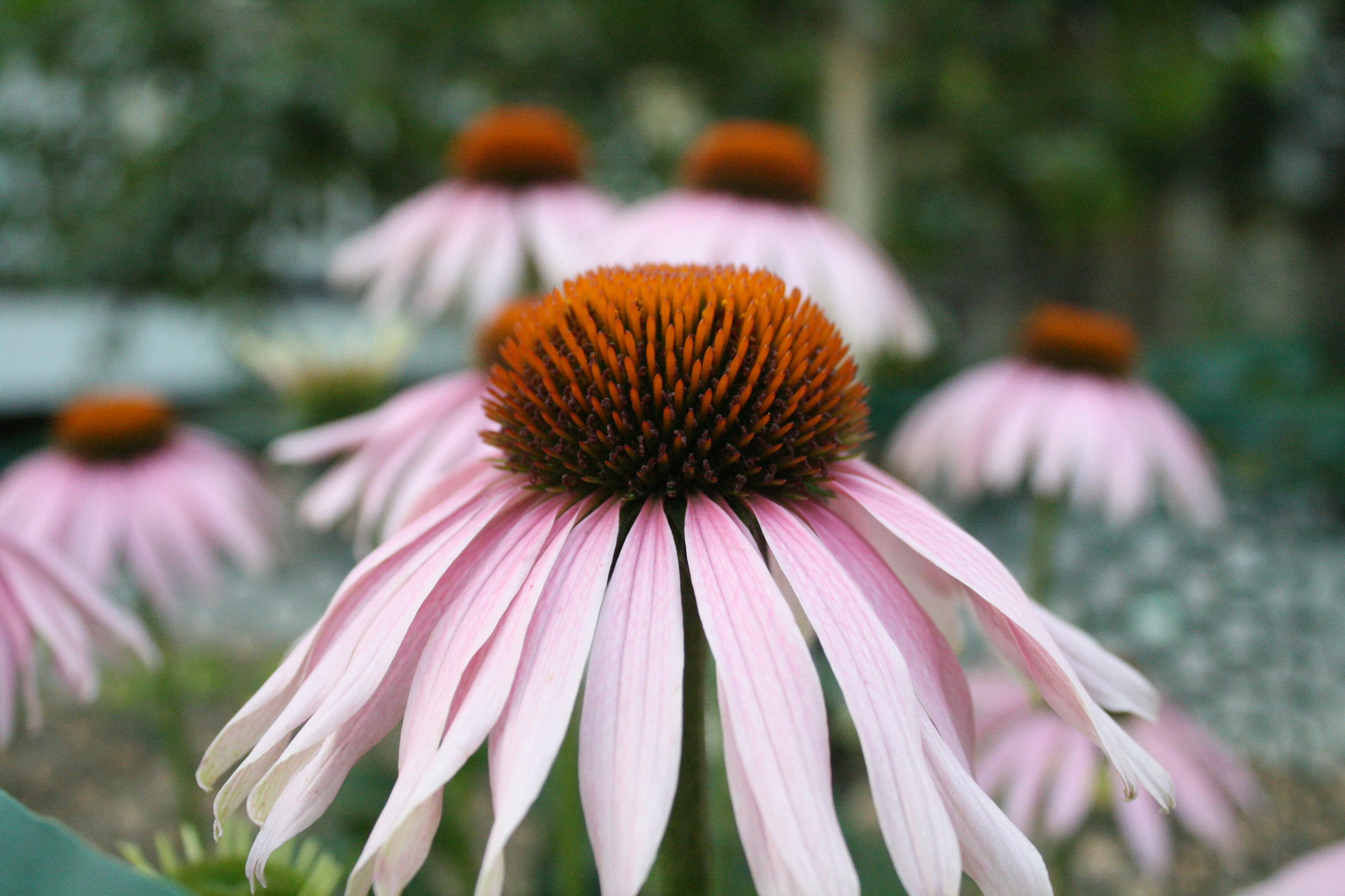 Photo by theartsy_waterlily